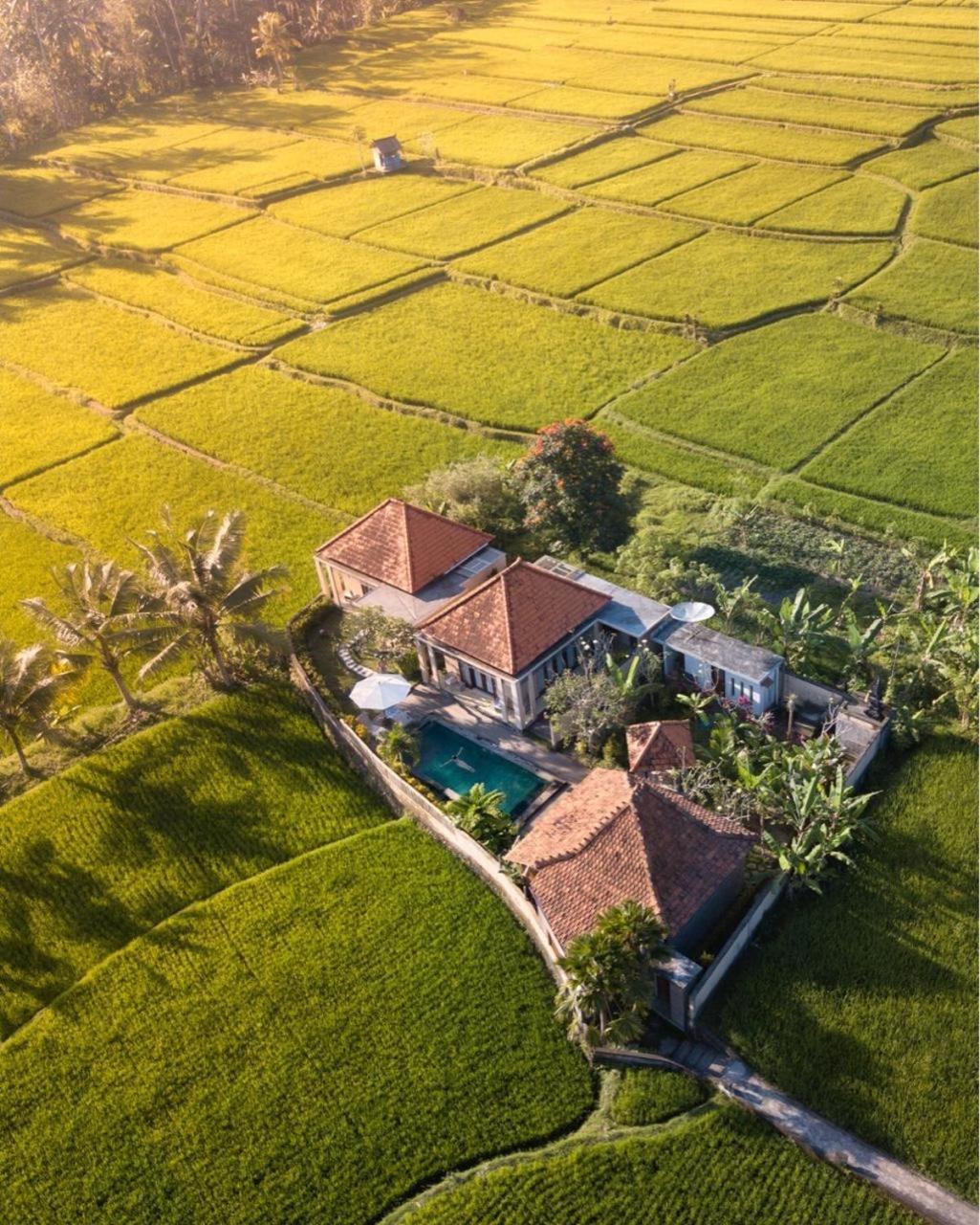 Puri Landu Luxury Villas * Ubud (Bali)