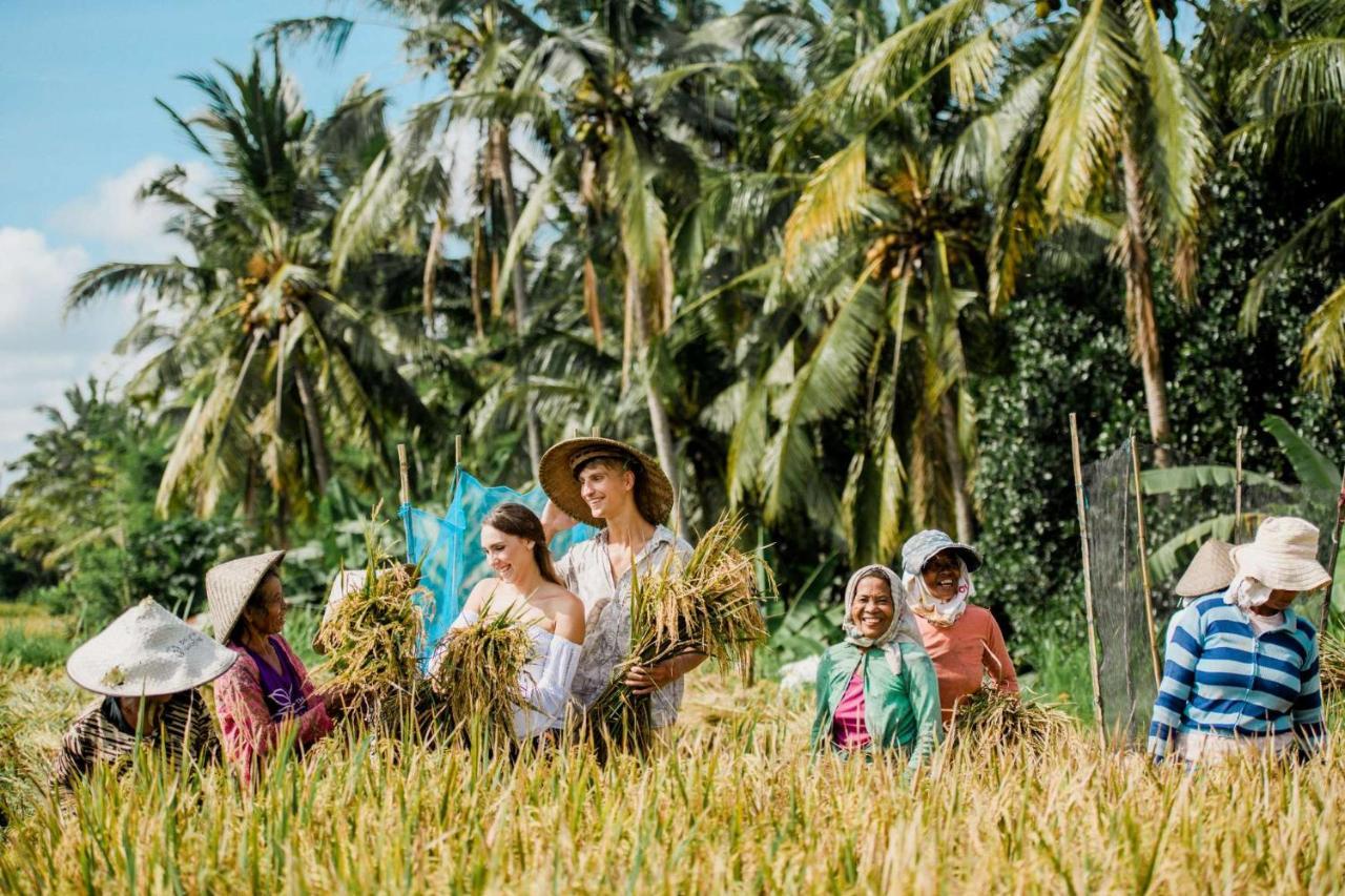 At Visesa Vila Ubud (Bali)