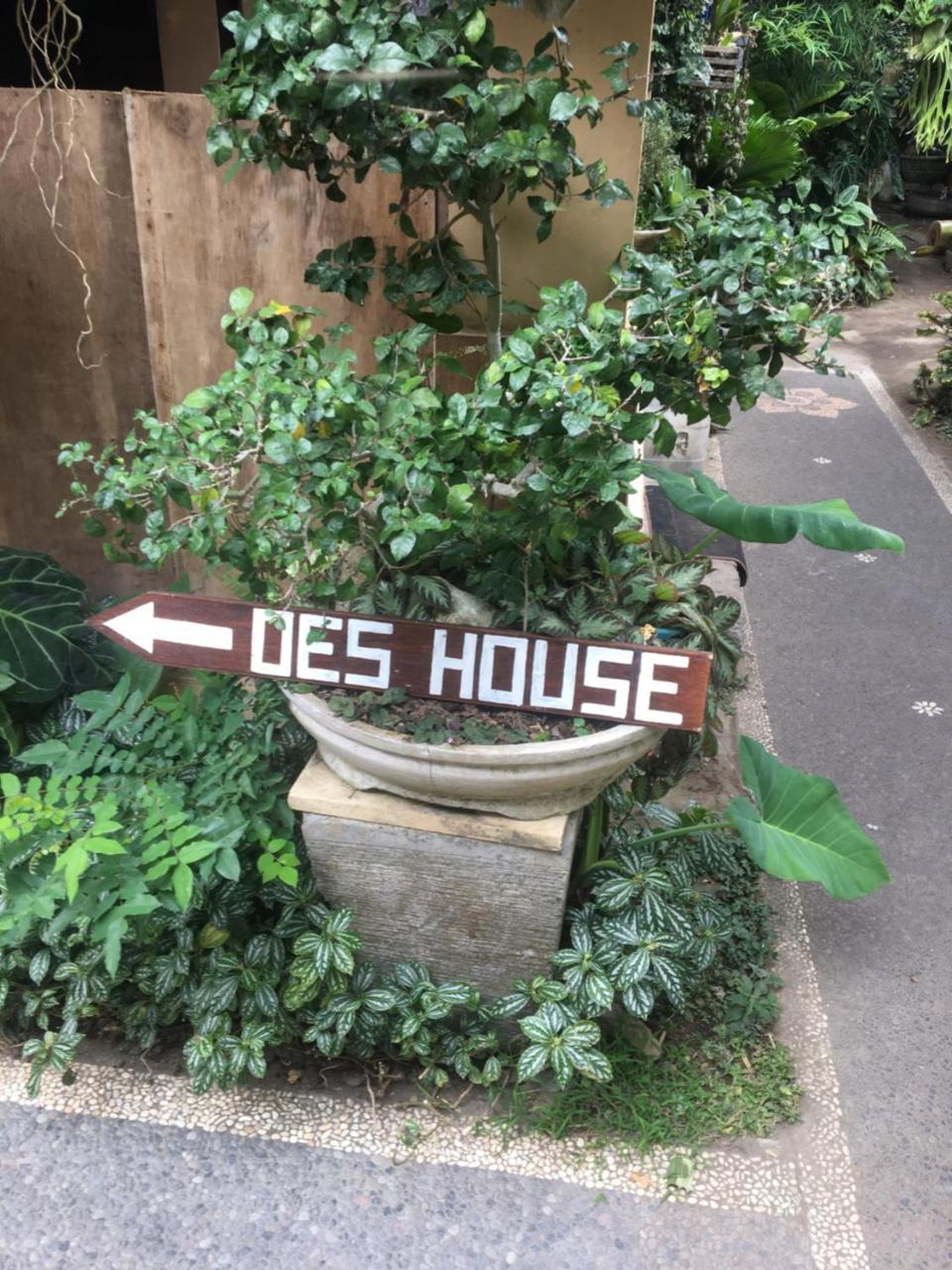 Oes House Privatunterkunft *