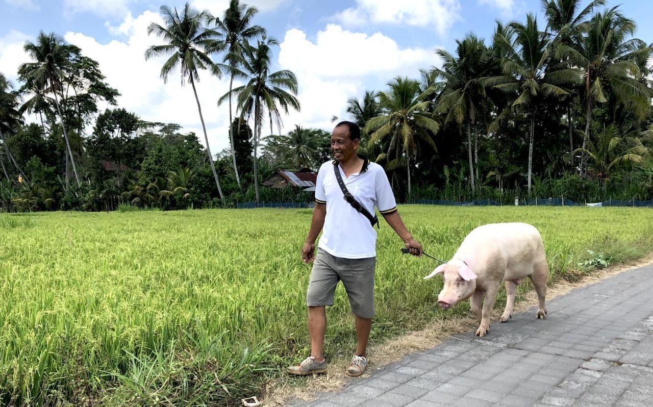 Neyang Villa Ubud (Bali)