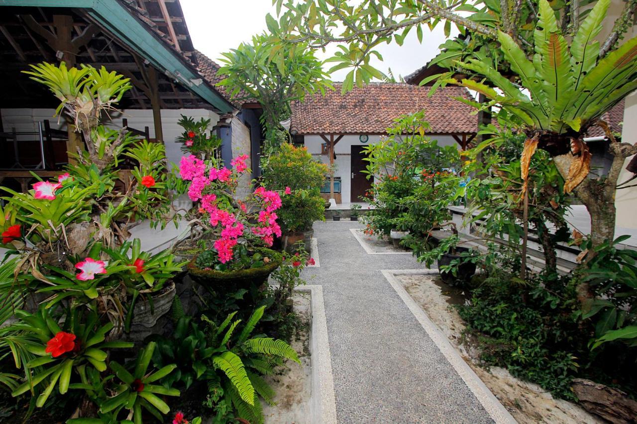 Koming House Homestay *