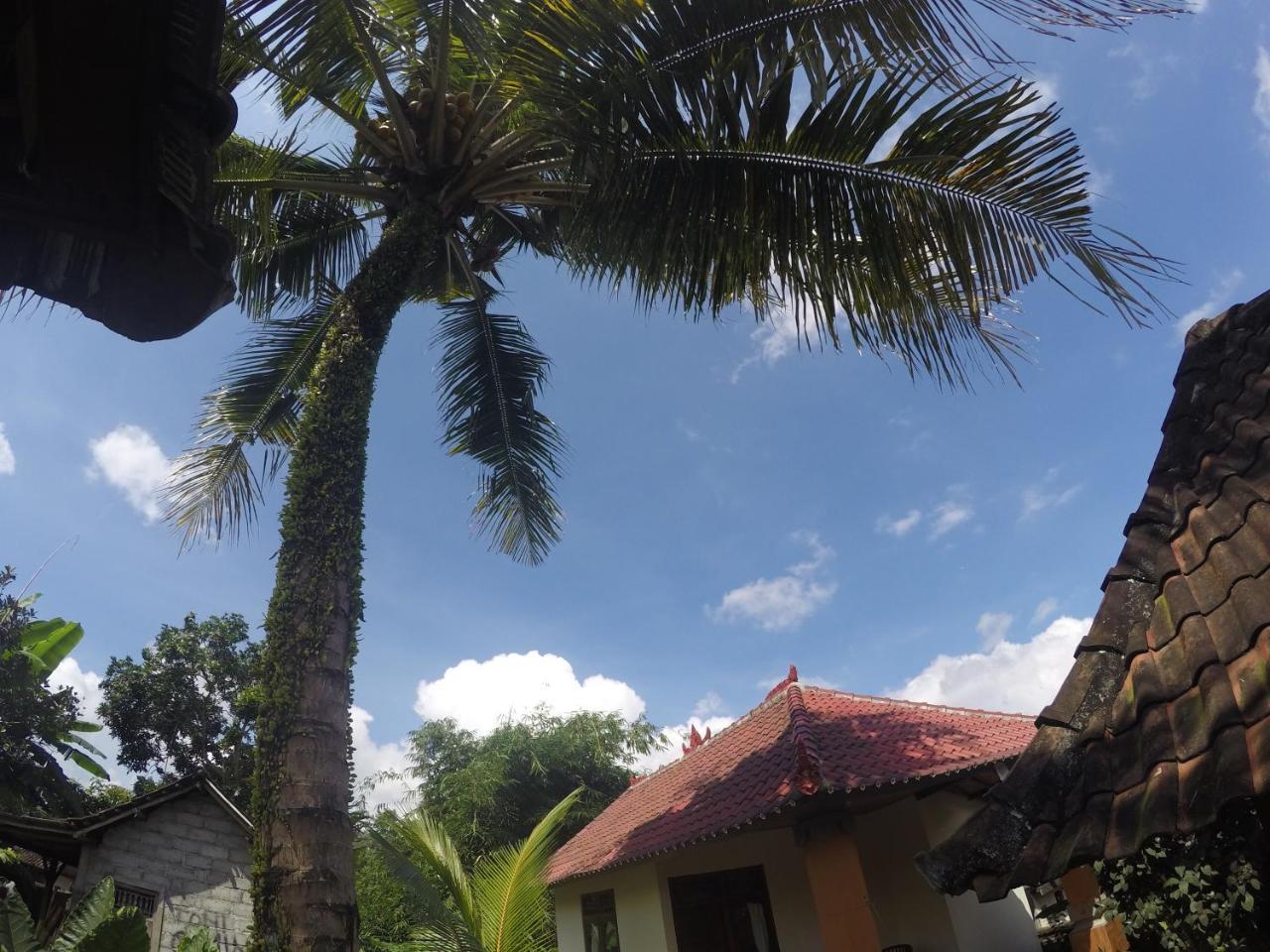 Dipa Homestay *