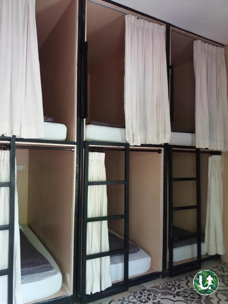 Hostel Tropical