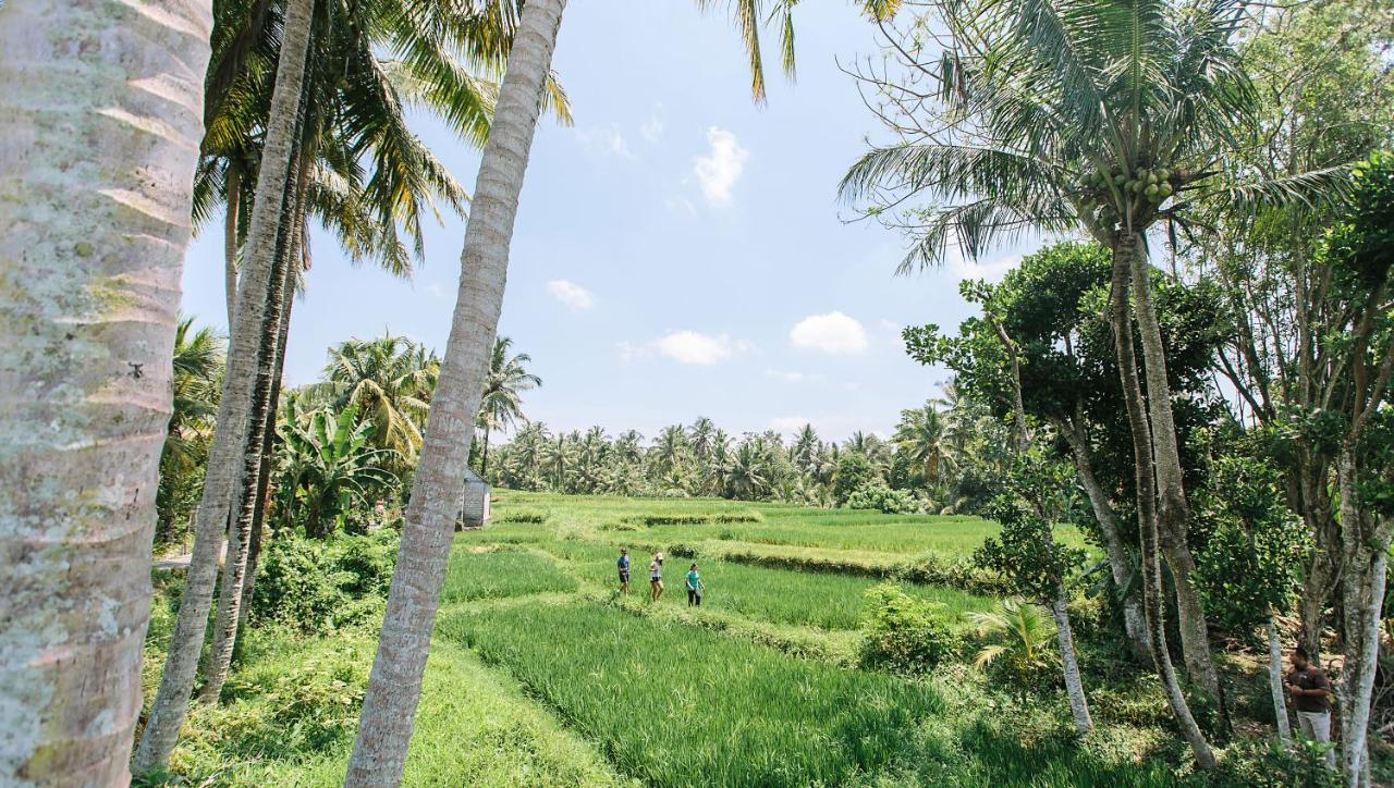 Tejaprana & Ubud