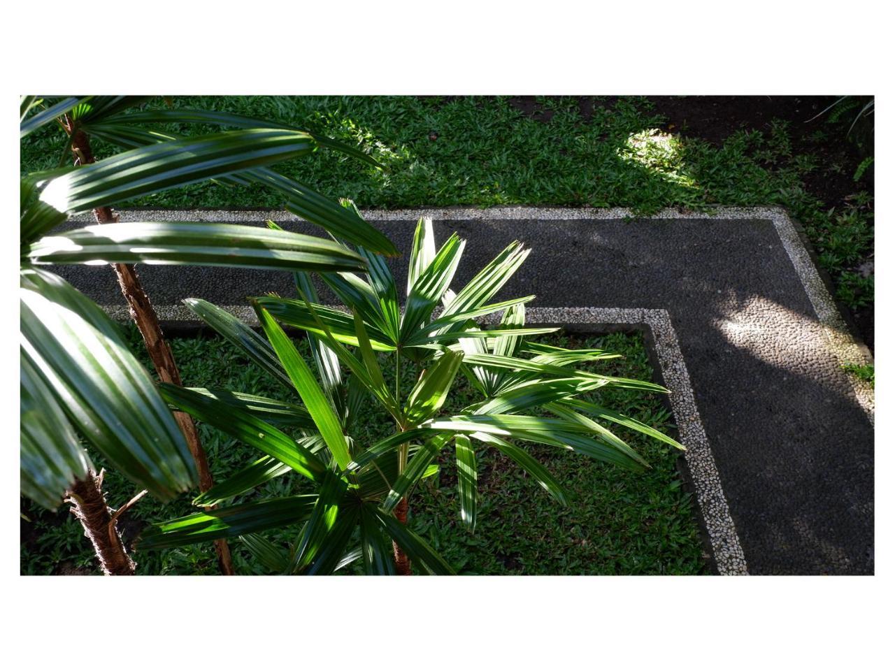 Homestay In Da Garden *