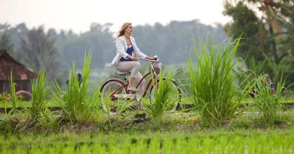 Dina Bed & Breakfast Ubud (Bali)