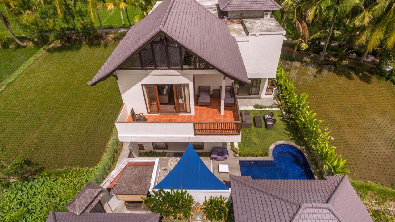 Solo & Retreat Ubud (Bali)
