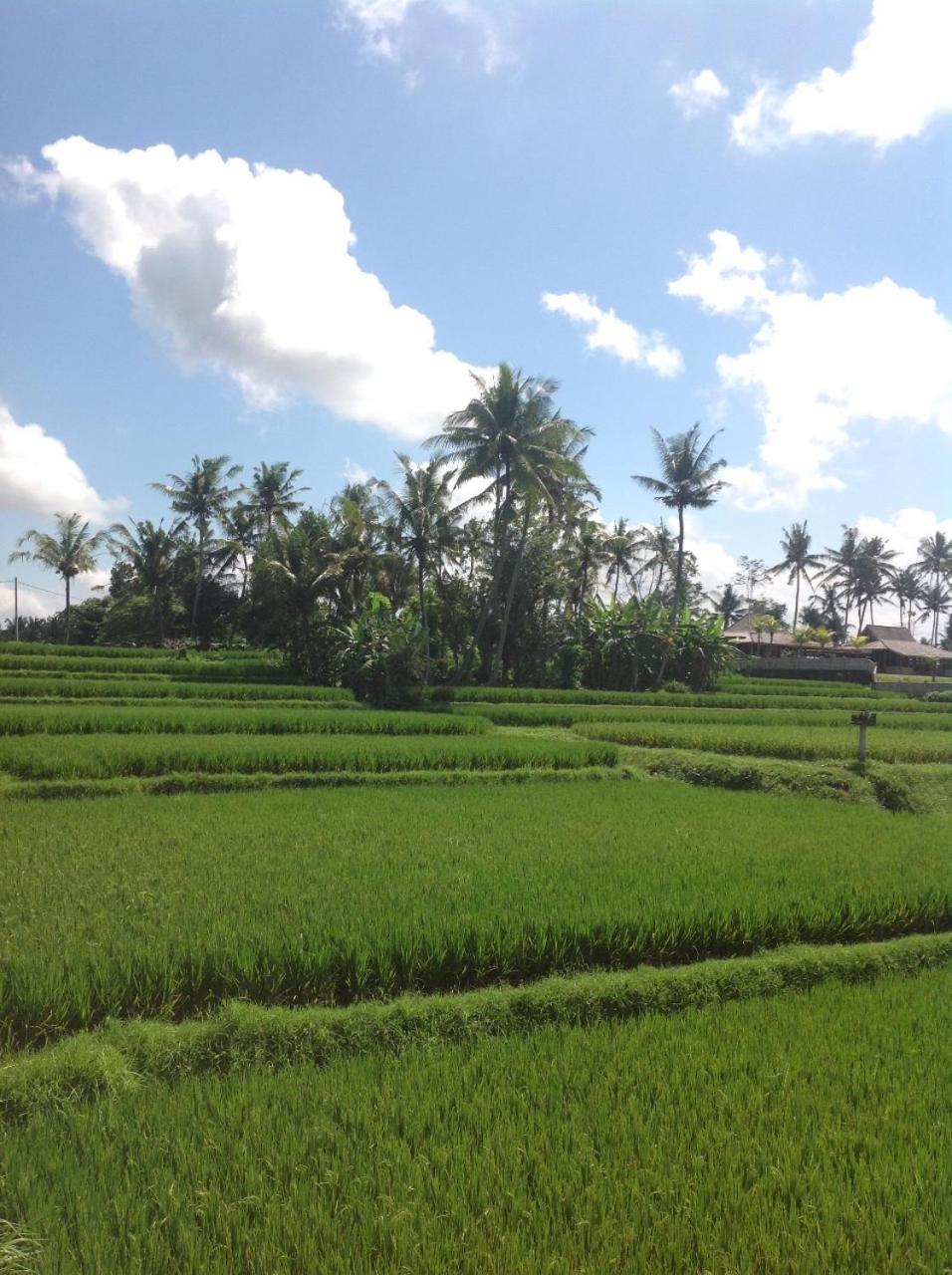 Guest house Uma Dhari By Prasi 3*