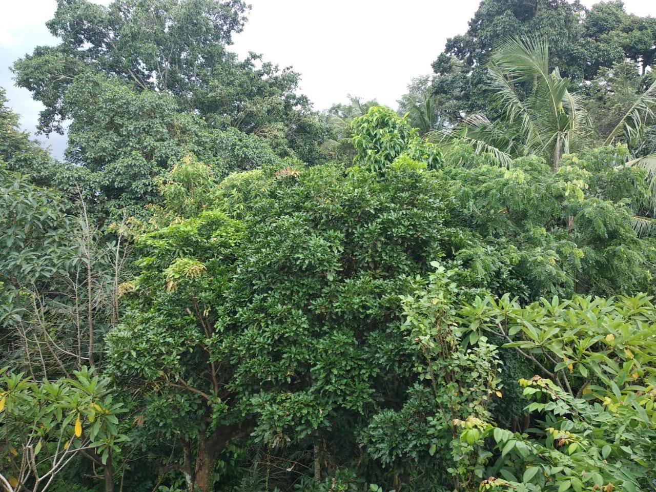 Guest house Utari House