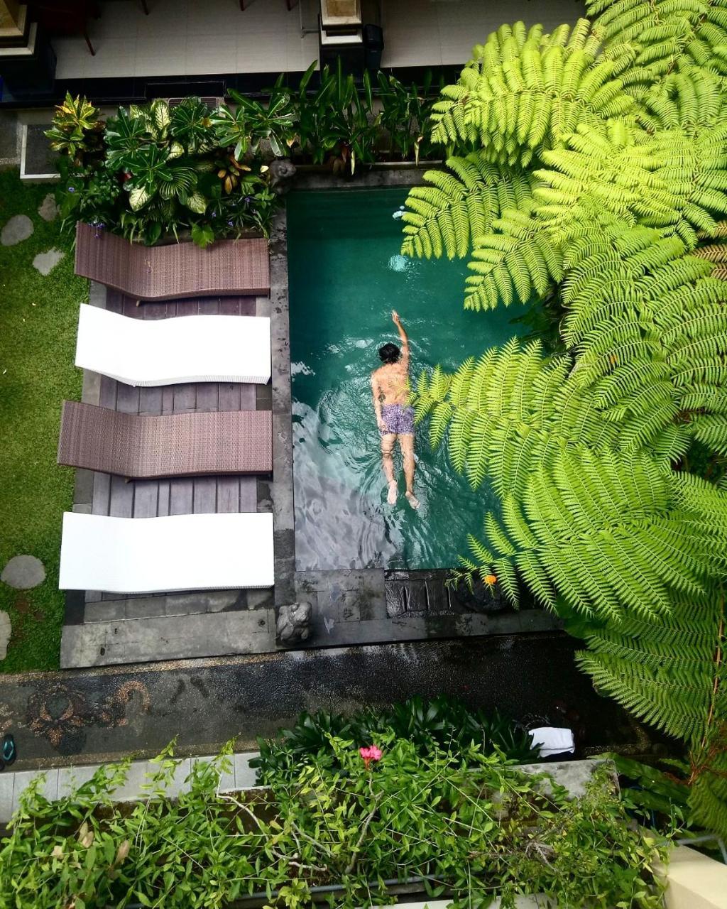 Donald * Ubud