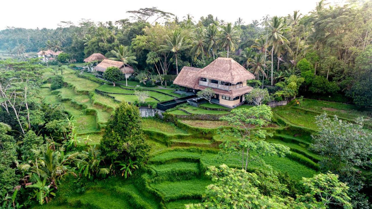 Kelusa * Ubud (Bali)