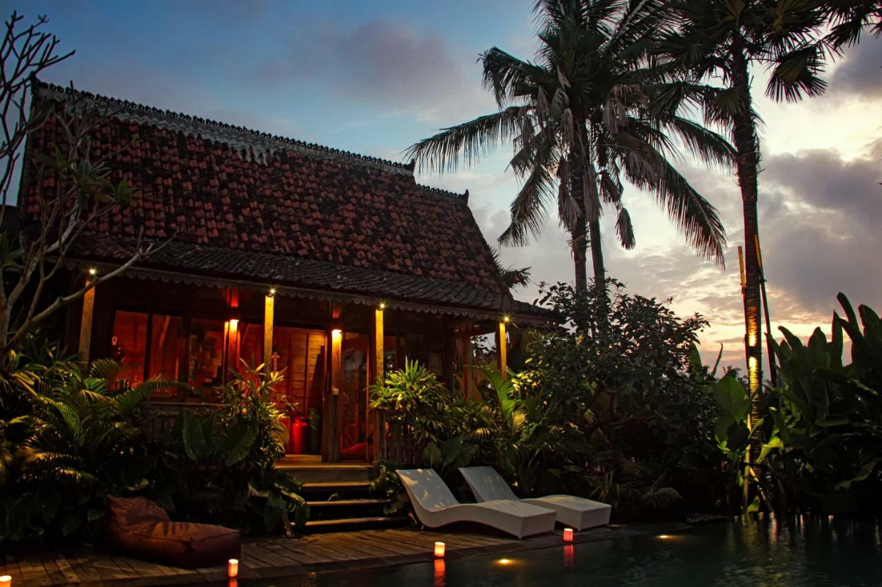 Virgin * Ubud (Bali)
