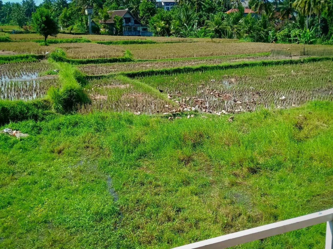 Uma Kutuh 2 Ubud (Bali)