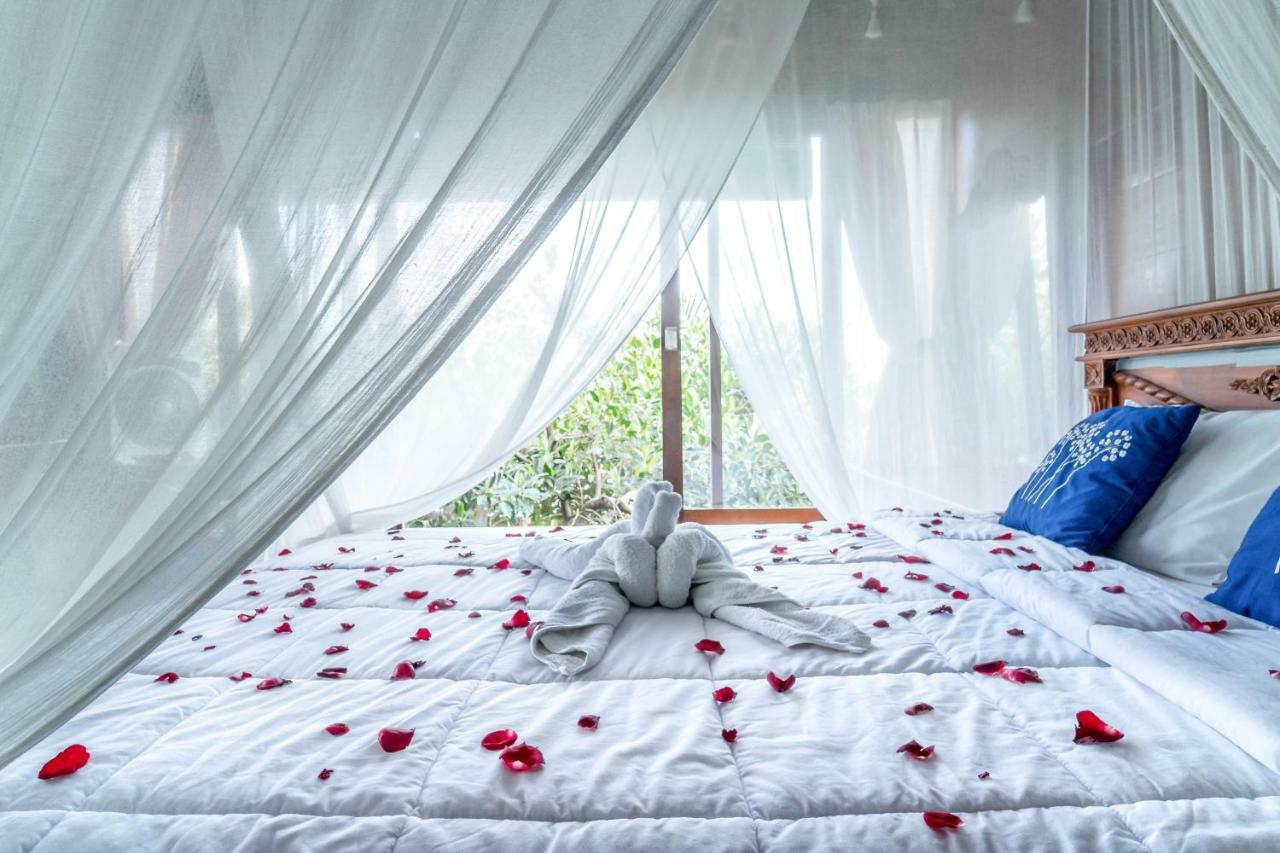 Sari Bamboo Villa