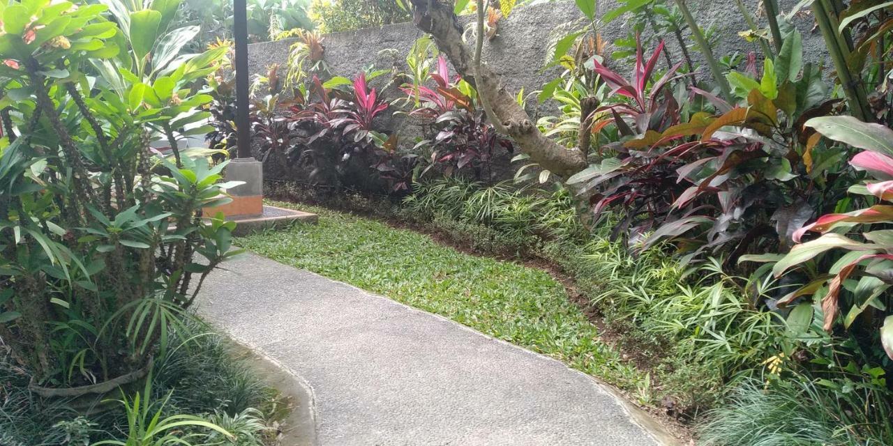 Dedik House * Ubud (Bali)