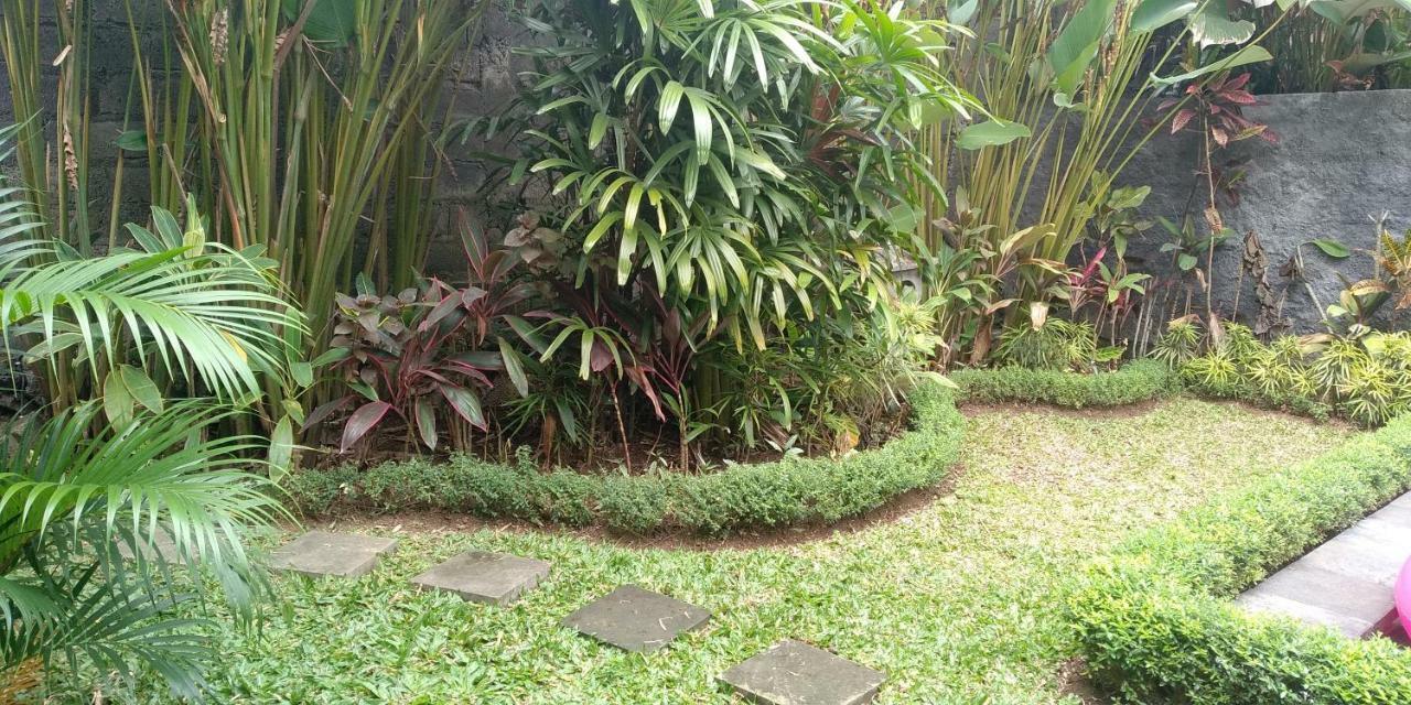 Dedik House