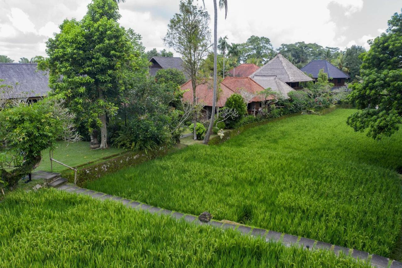 Ananda Resort Ubud (Bali)