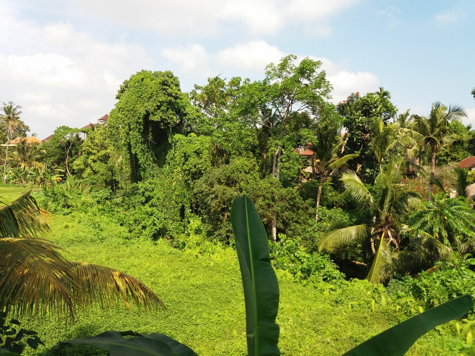 Amoya 3* Ubud (Bali)