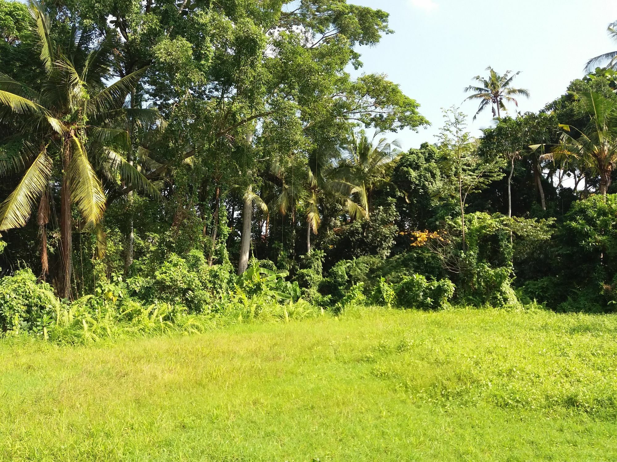 Amoya Ubud (Bali)
