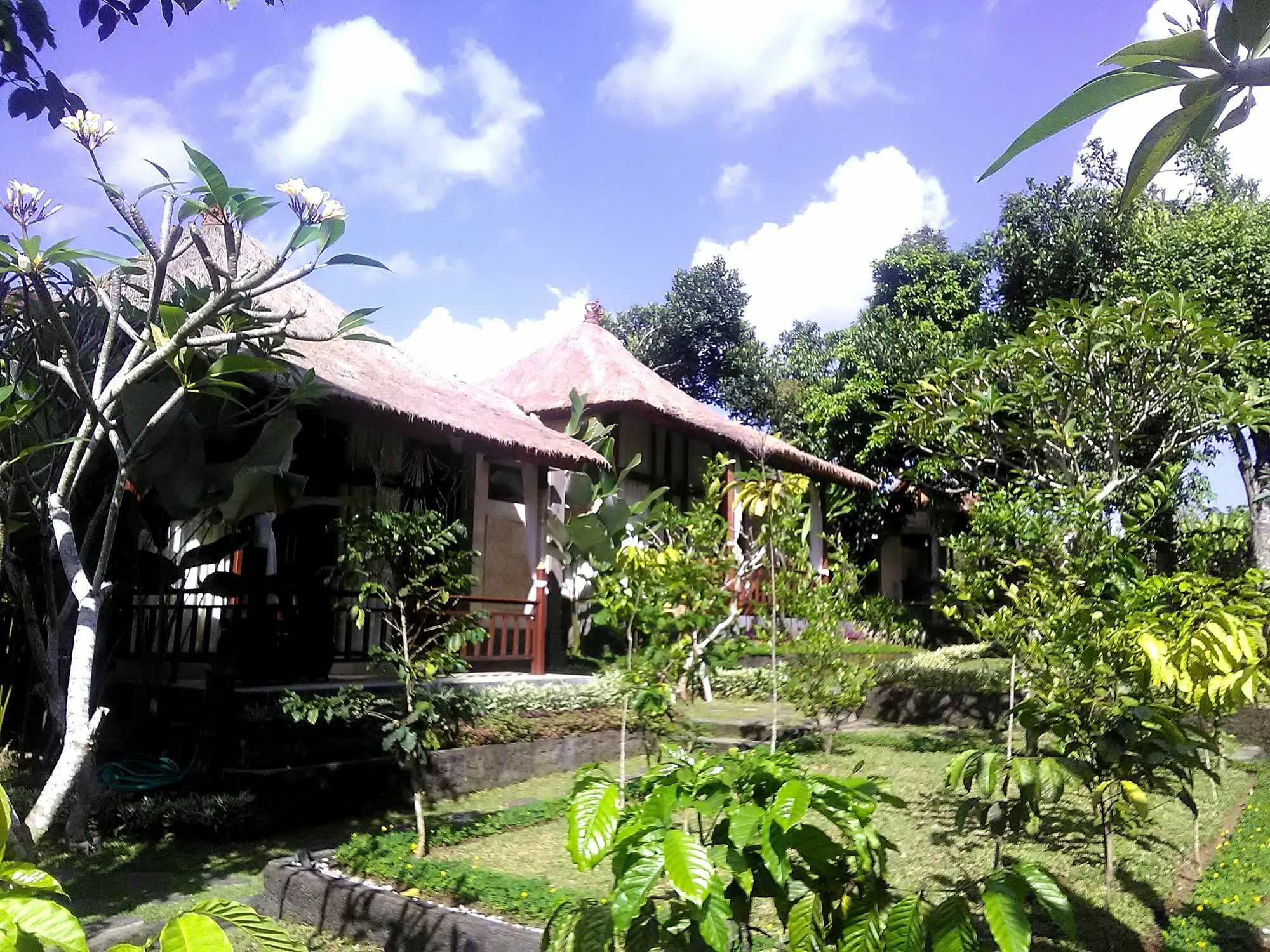 Astawa House
