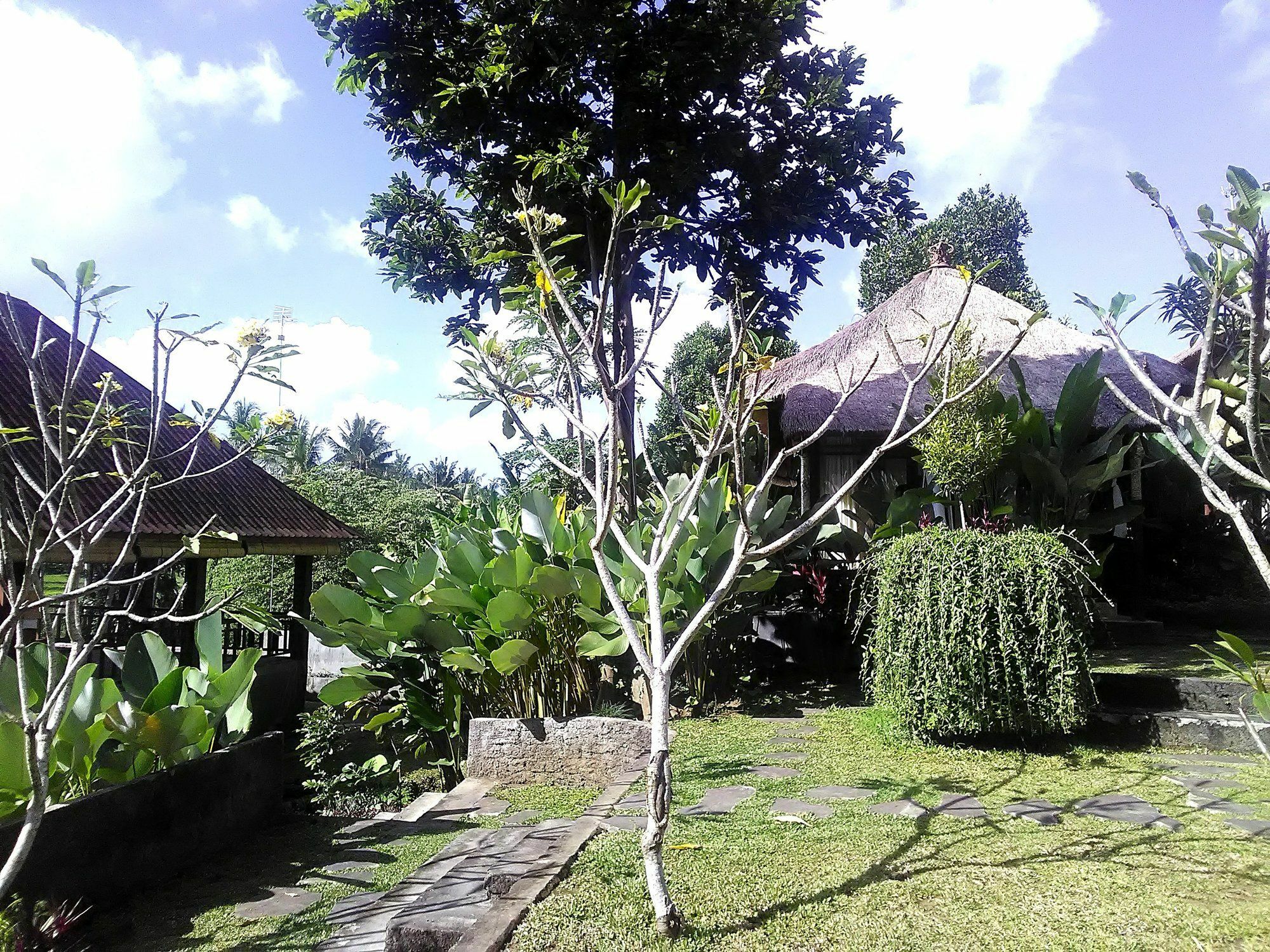 Guest house Astawa House