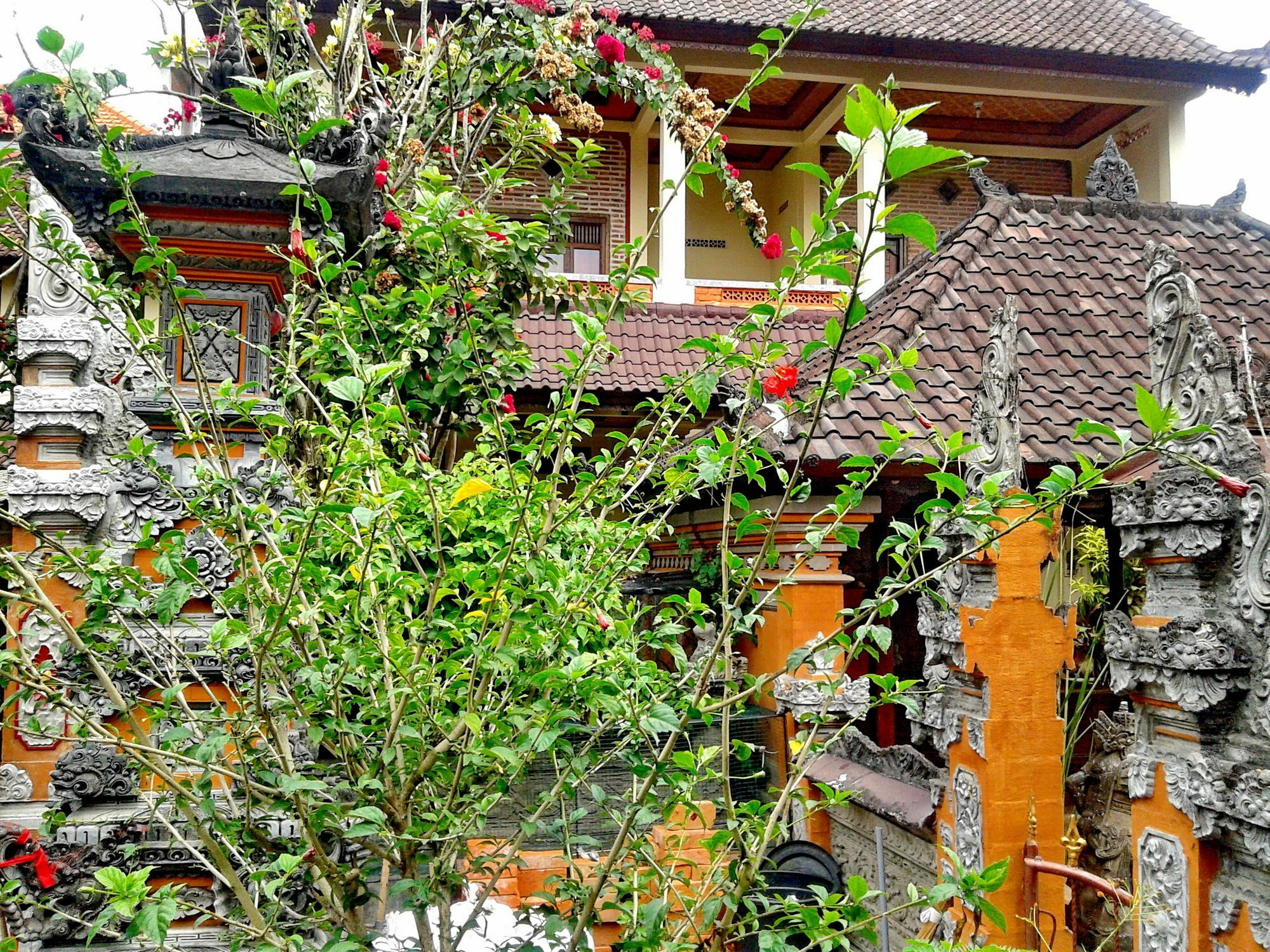 Arjuna * Ubud (Bali)