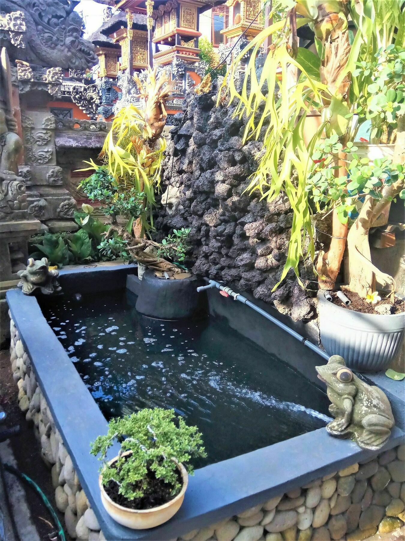 Guest house Arjuna