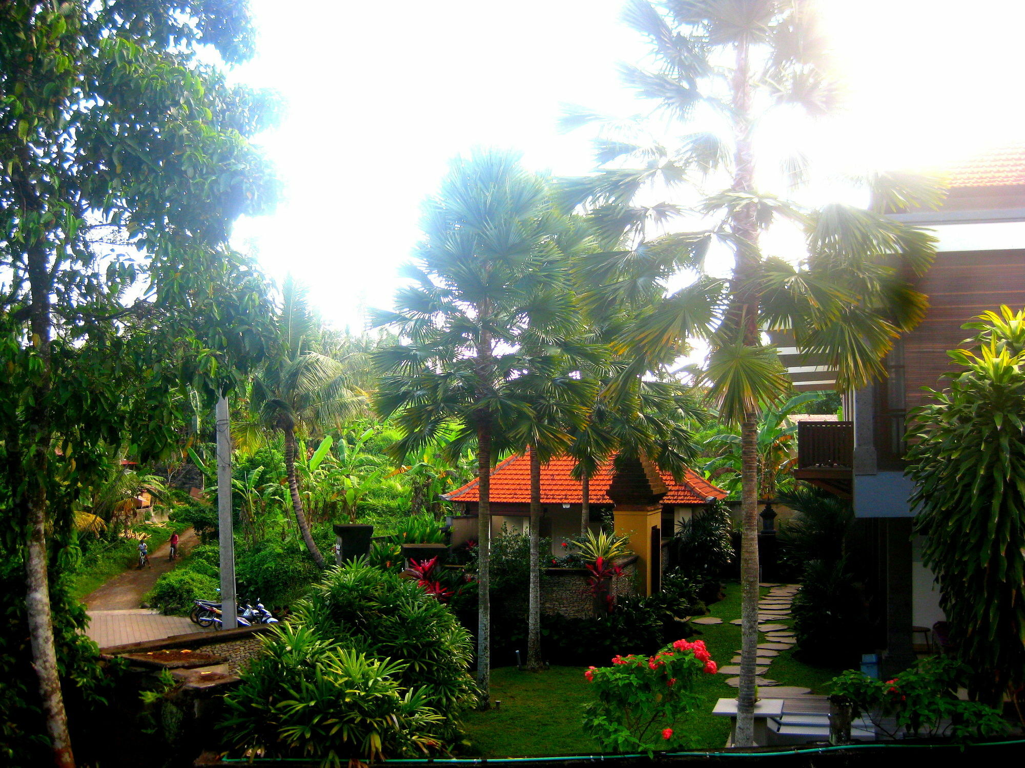 Sonia Bisma Hotel Ubud (Bali)