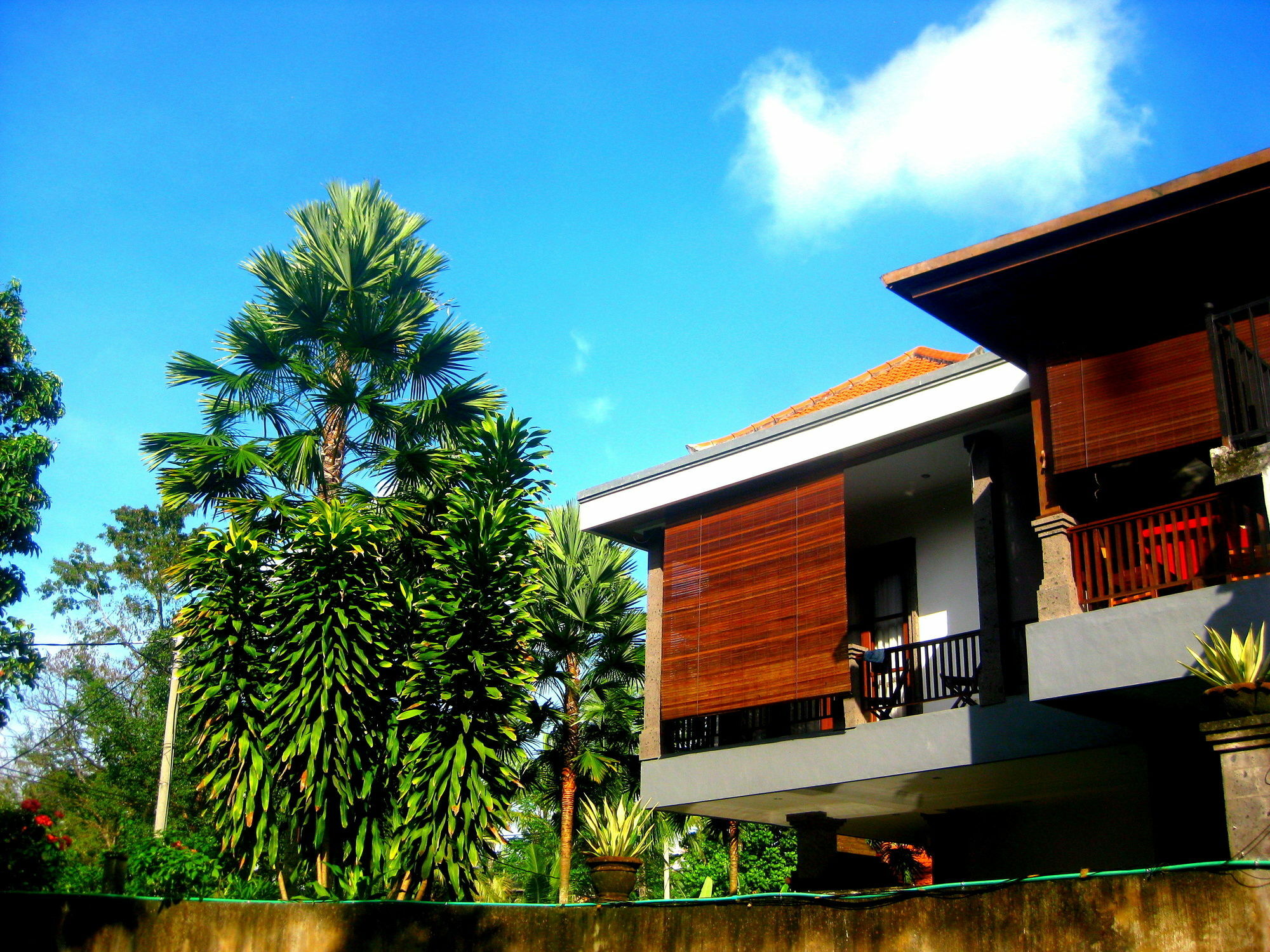 Hotel Sonia Bisma