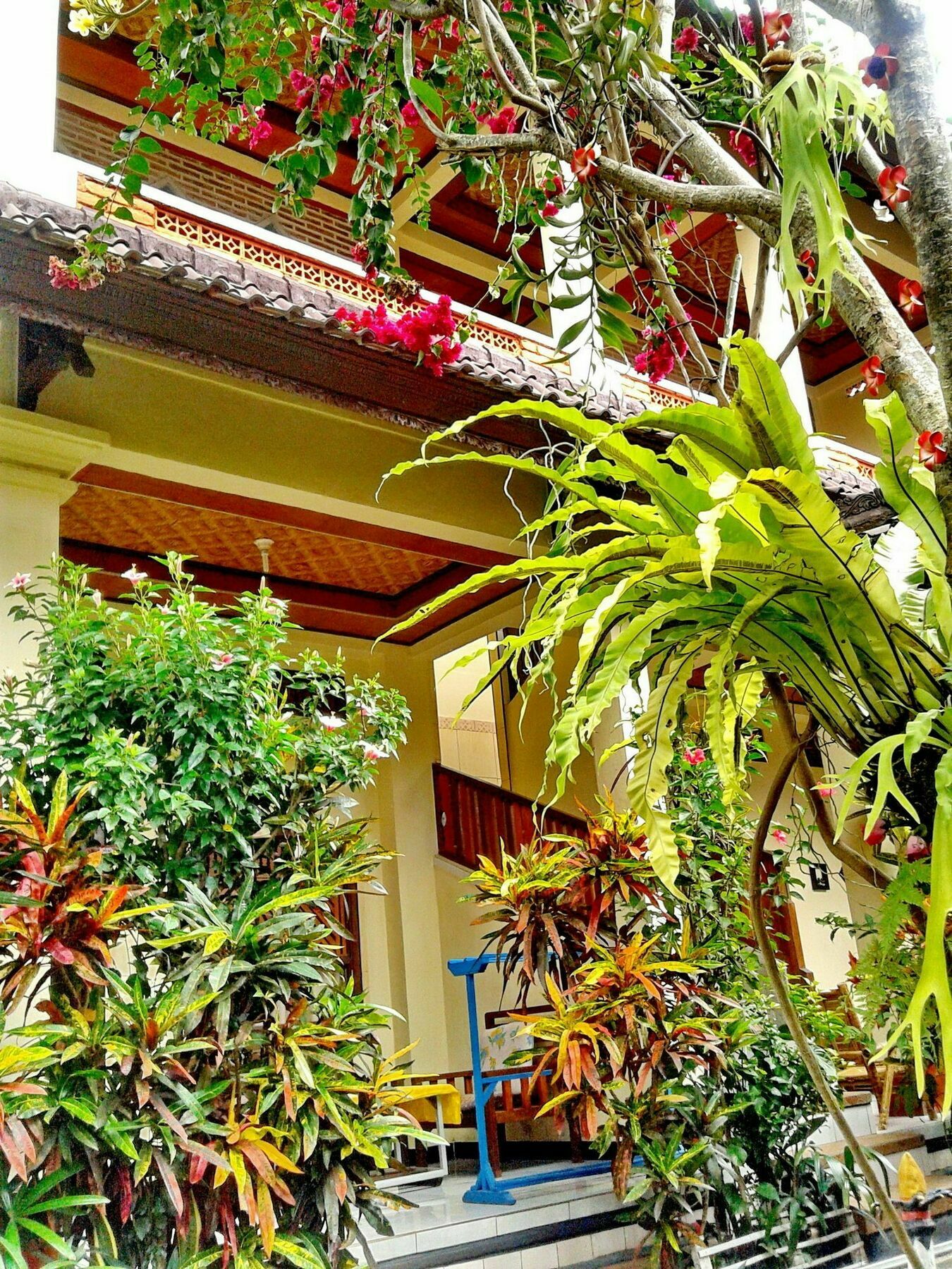 Arjuna Guest house Ubud (Bali)