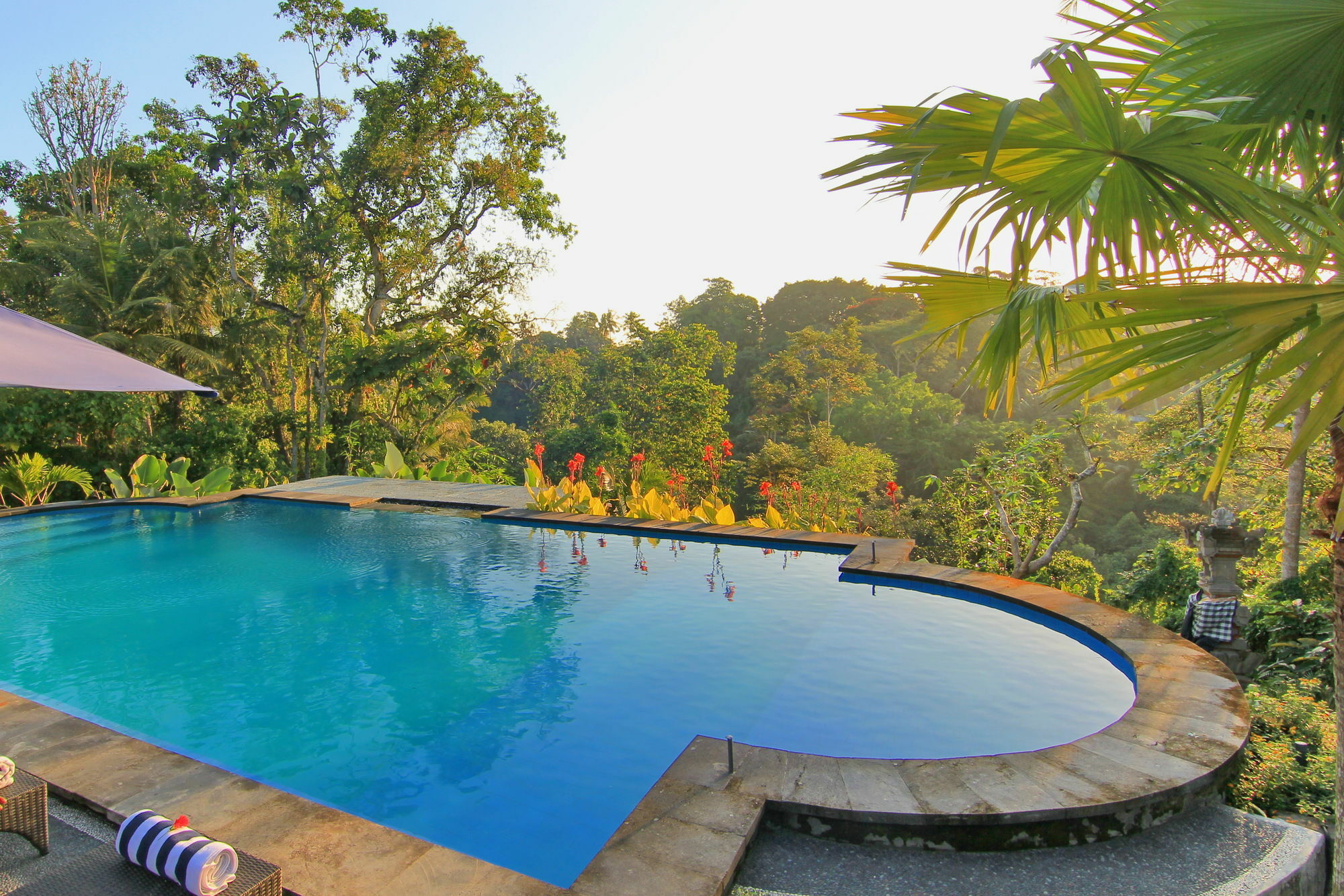 Capung Mas Ubud