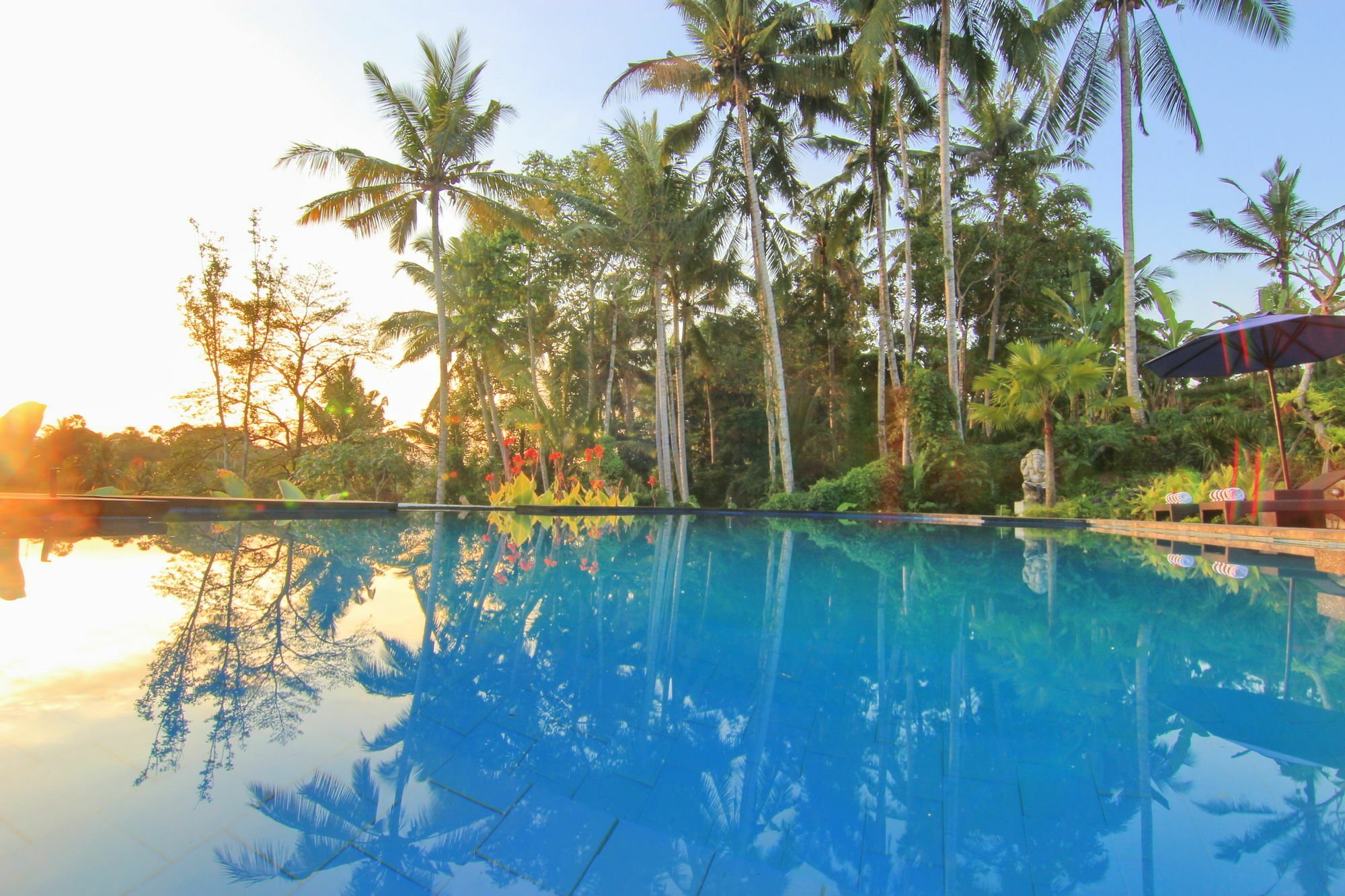 Capung Mas Ubud