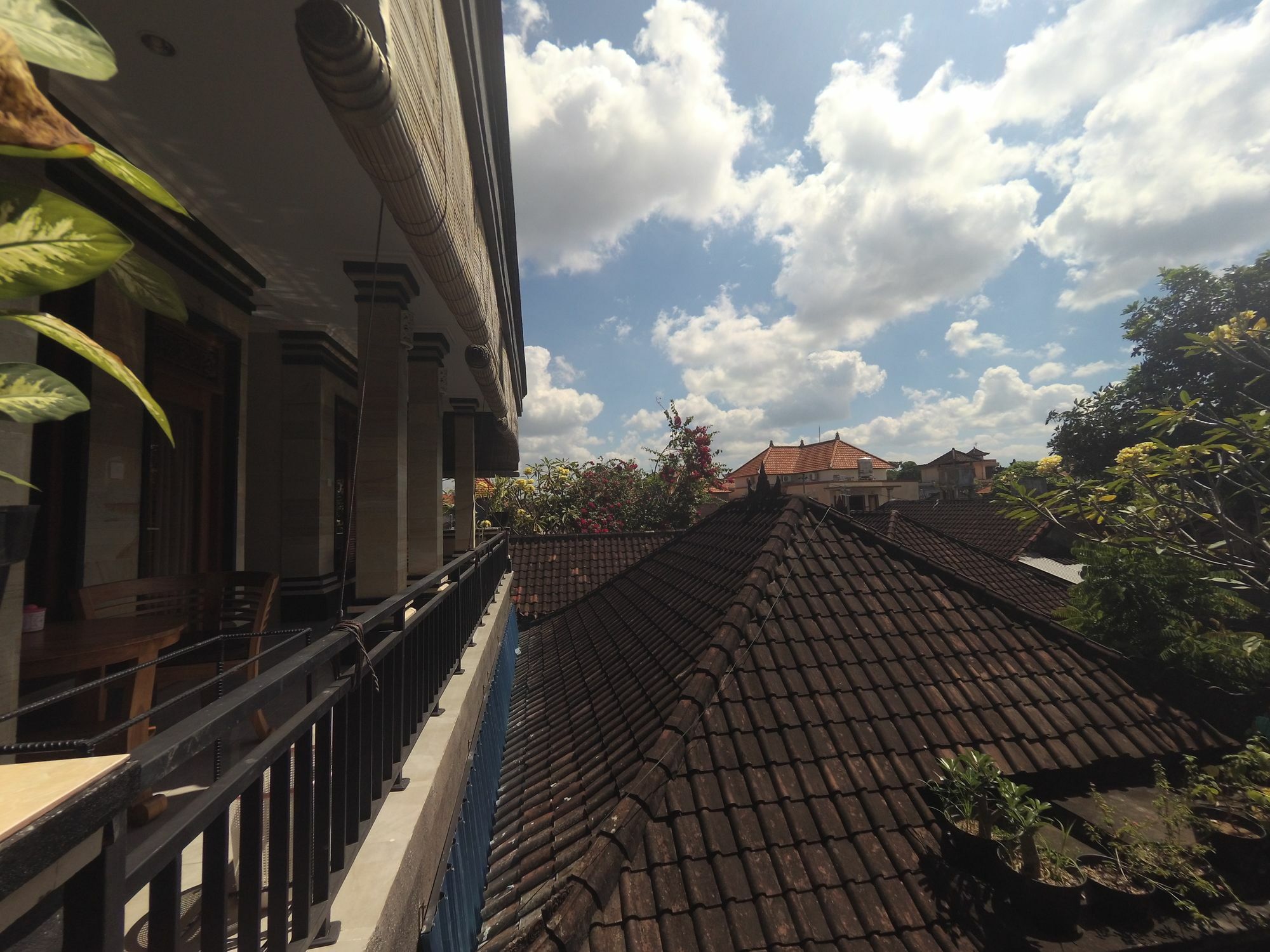 Rumah Ary & Homestay Ubud (Bali)