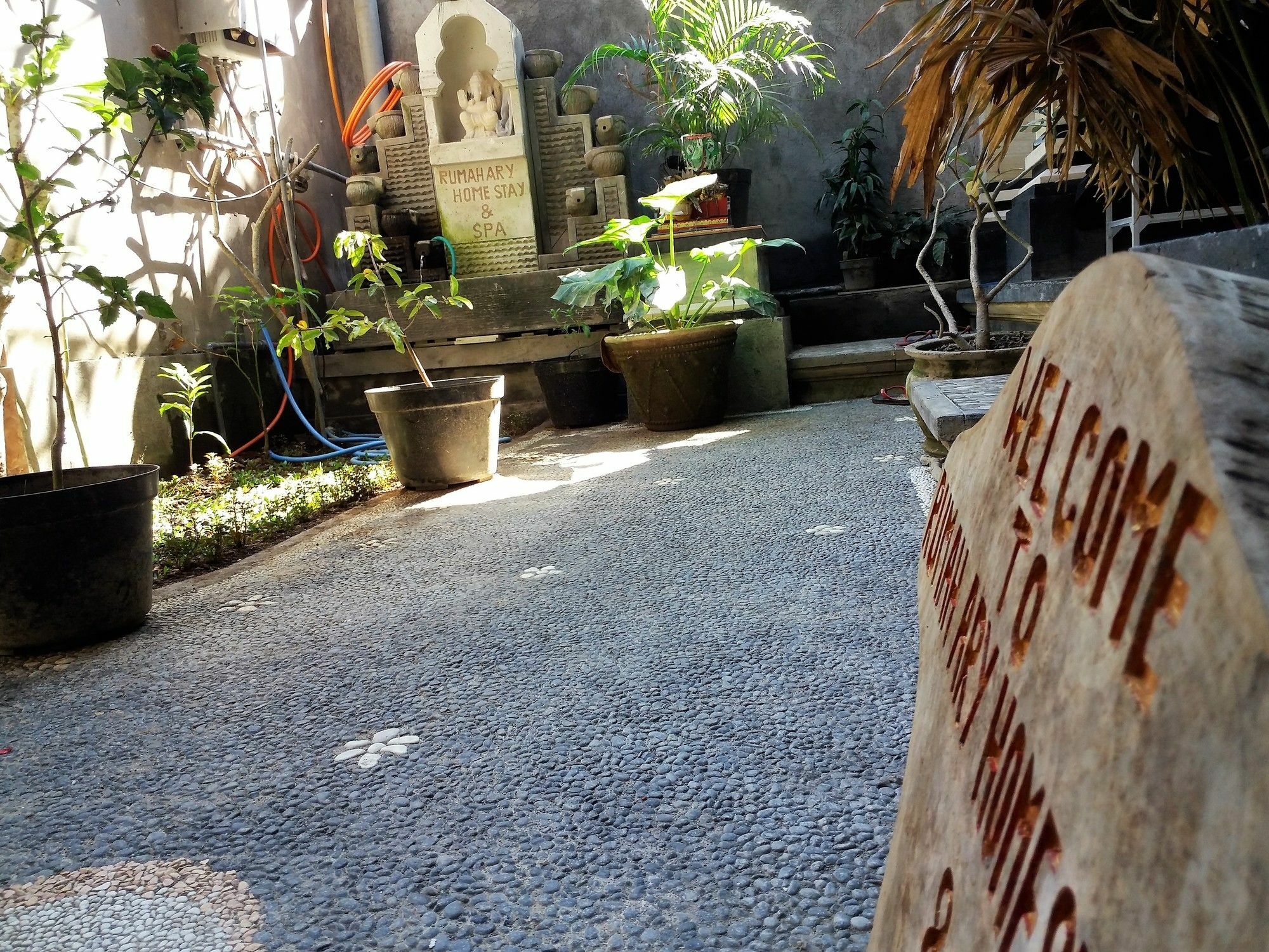 Homestay Rumah Ary & Ubud (Bali)