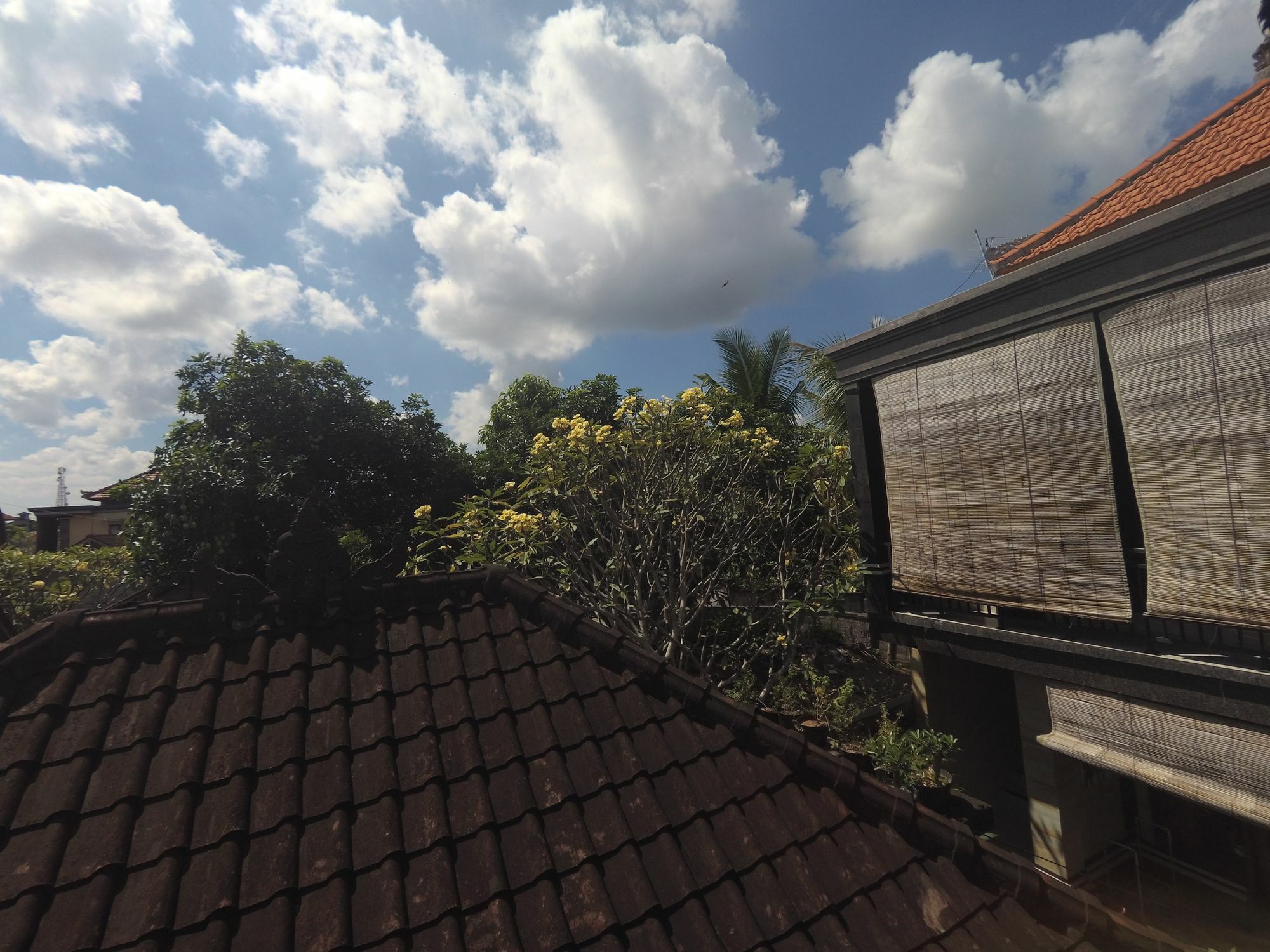 Homestay Rumah Ary & Ubud (Bali)