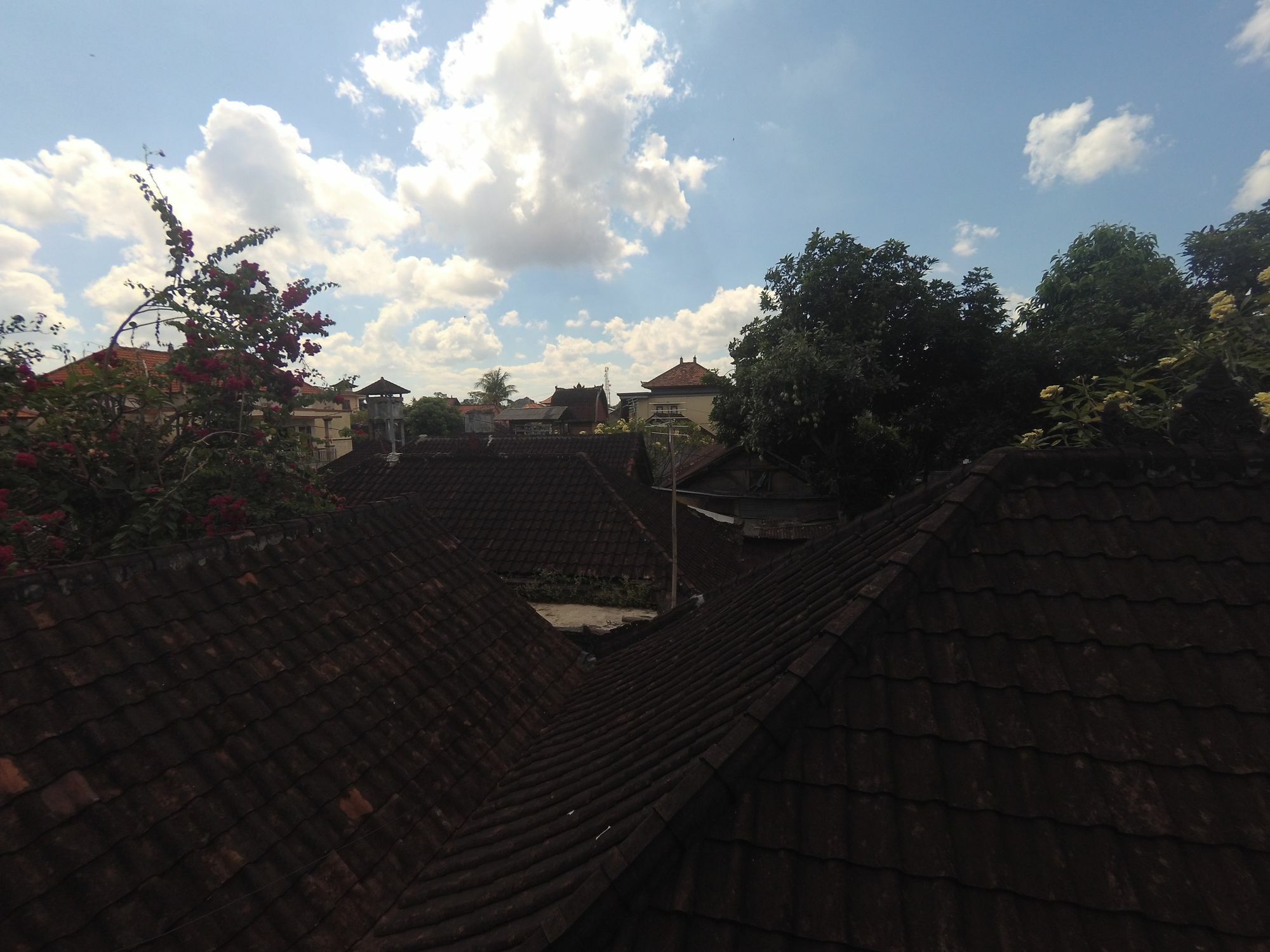 Rumah Ary & * Ubud (Bali)