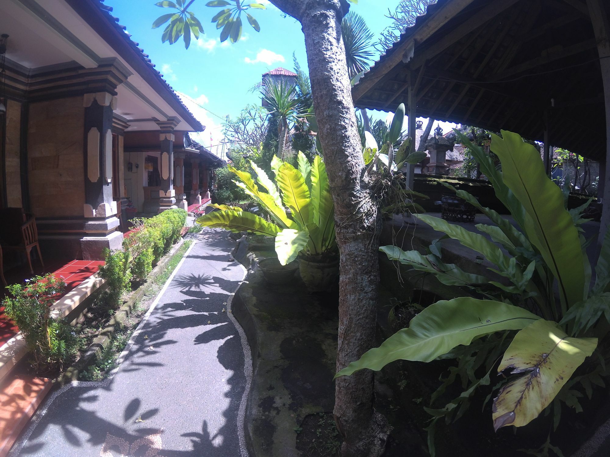 Homestay Rumah Ary & Ubud (Bali)