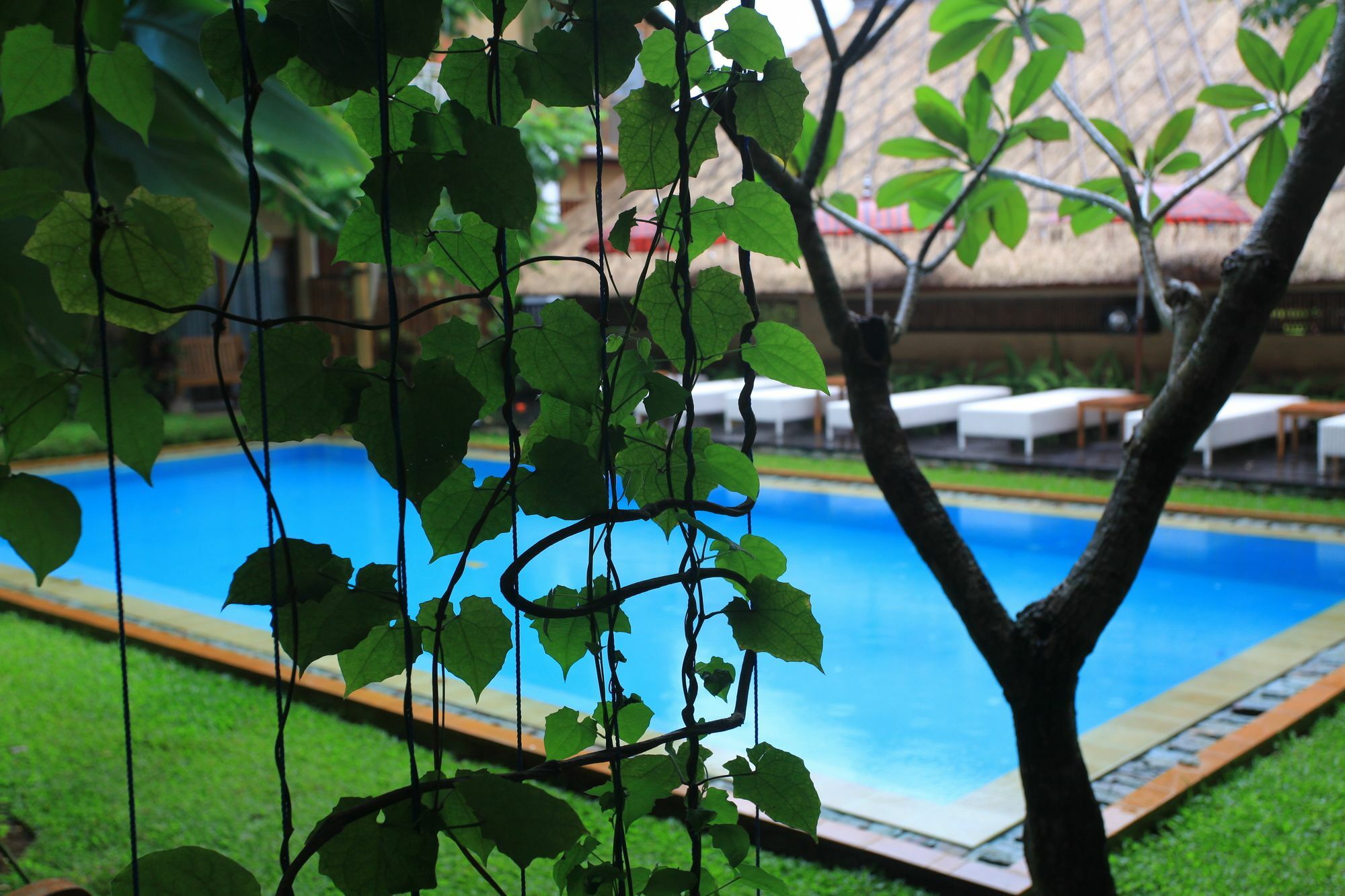 Hotel Puriartha - Chse Certified 4*