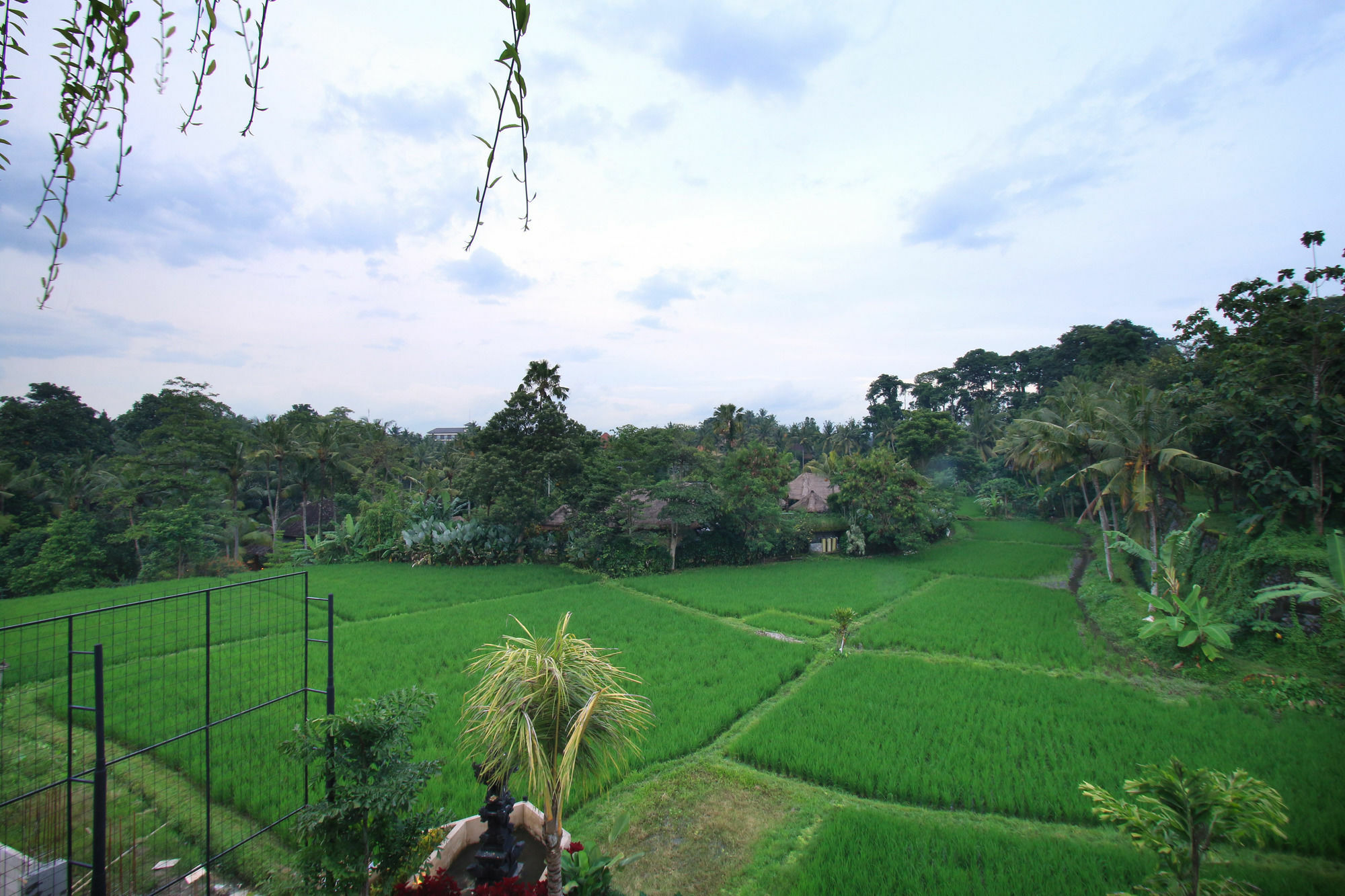 Guest house Byasa Ubud (Bali)