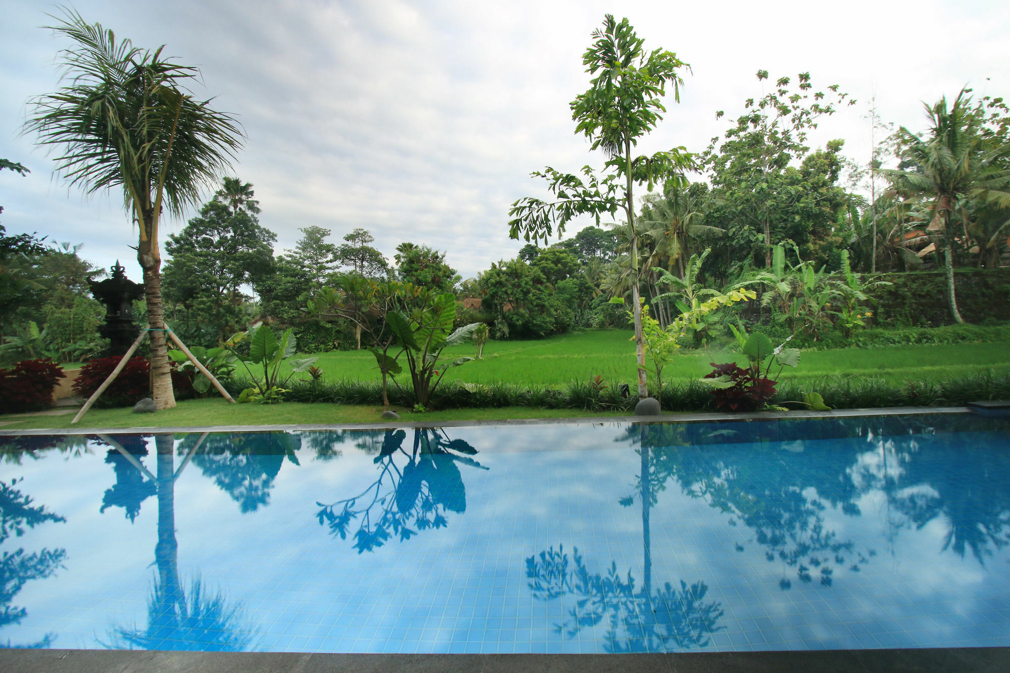 Byasa Guest house Ubud (Bali)