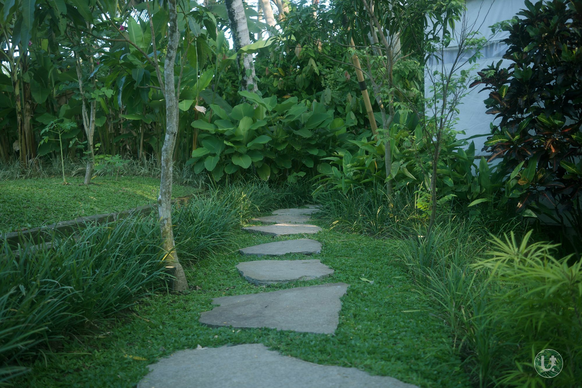 Tropical Hostel *