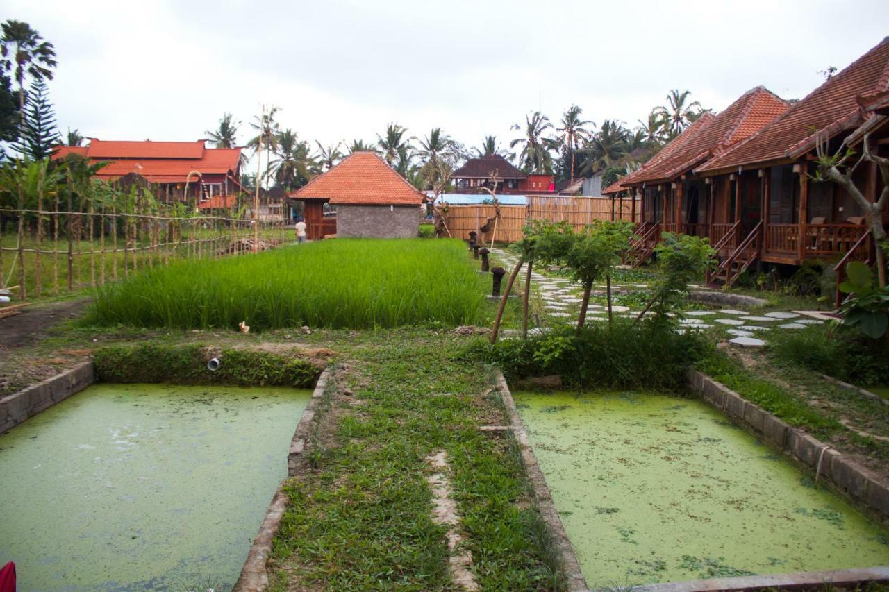 Uma Lanne - A Wooden Hideway Villas Lodge Ubud (Bali)