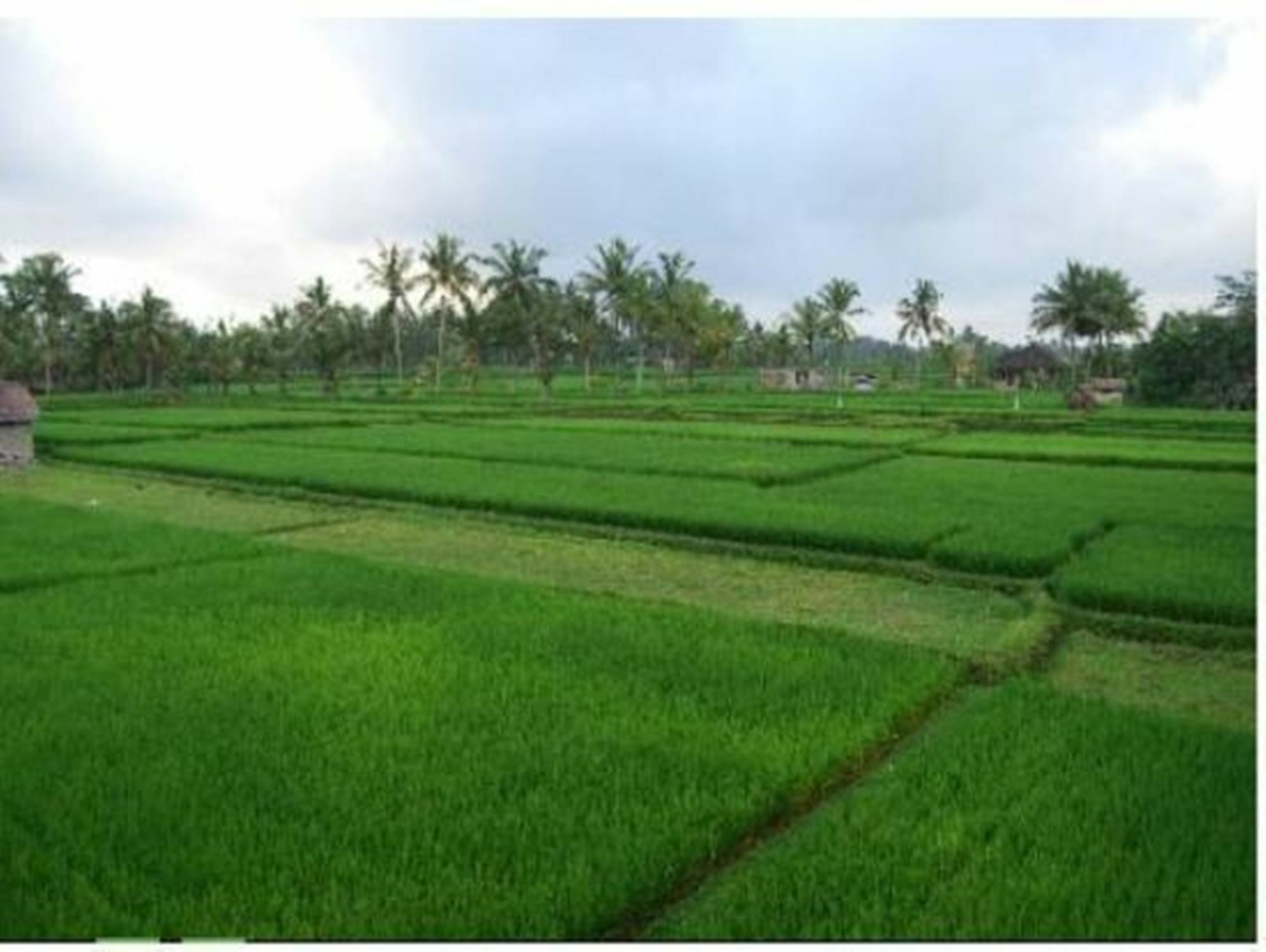Ume Sita And * Ubud (Bali)