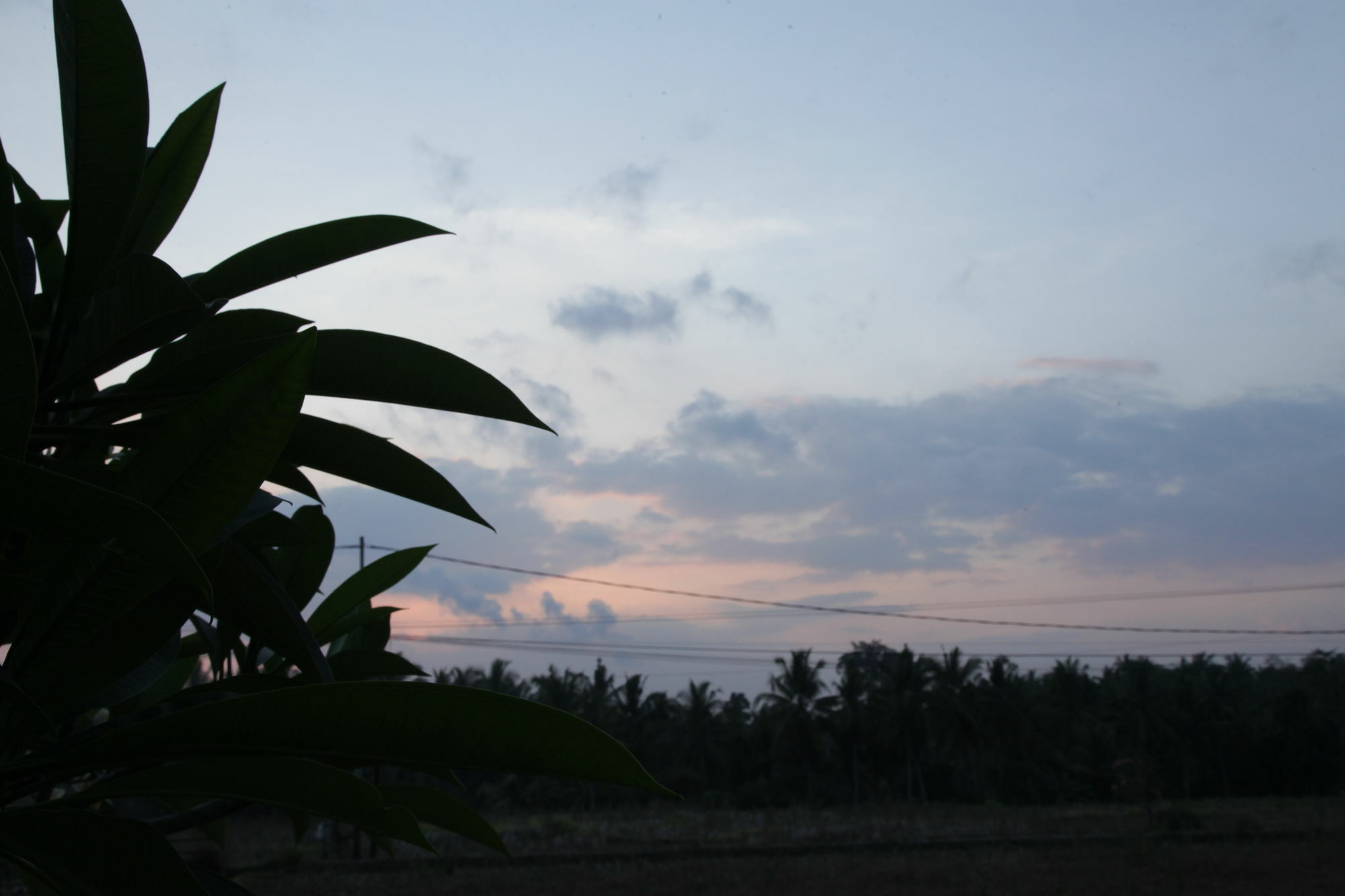 Kubu Soca Ubud (Bali)