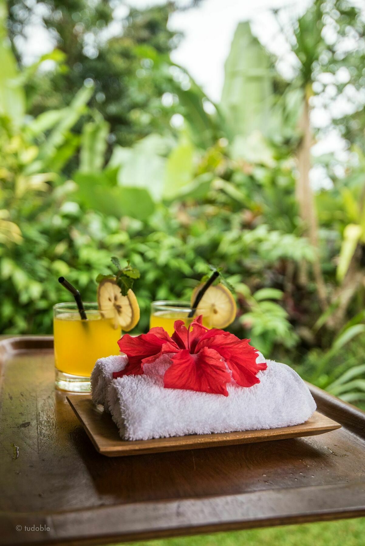 Bunut Garden Luxury Private Villa Ubud (Bali)