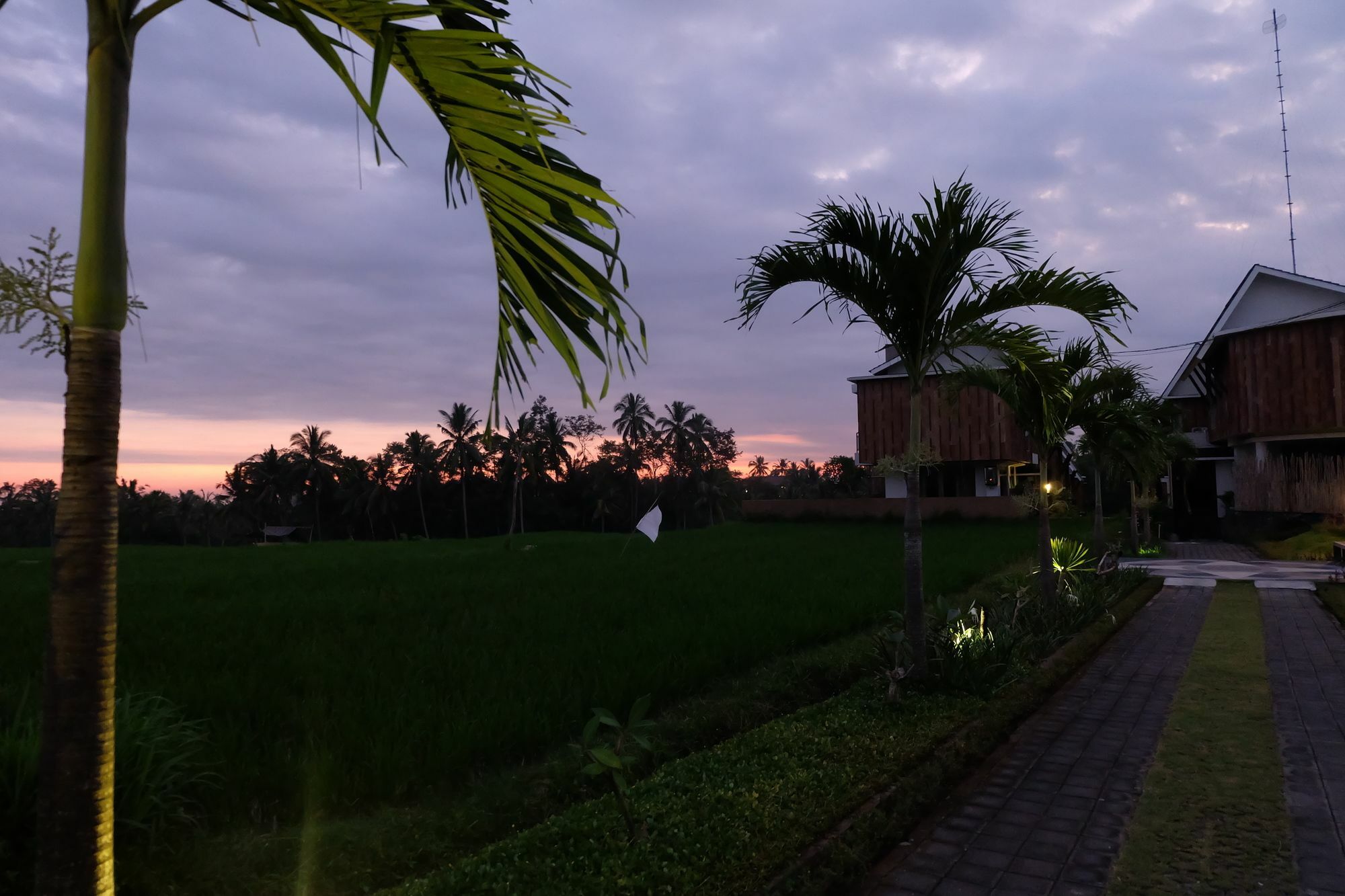 Greenfield Luxury *