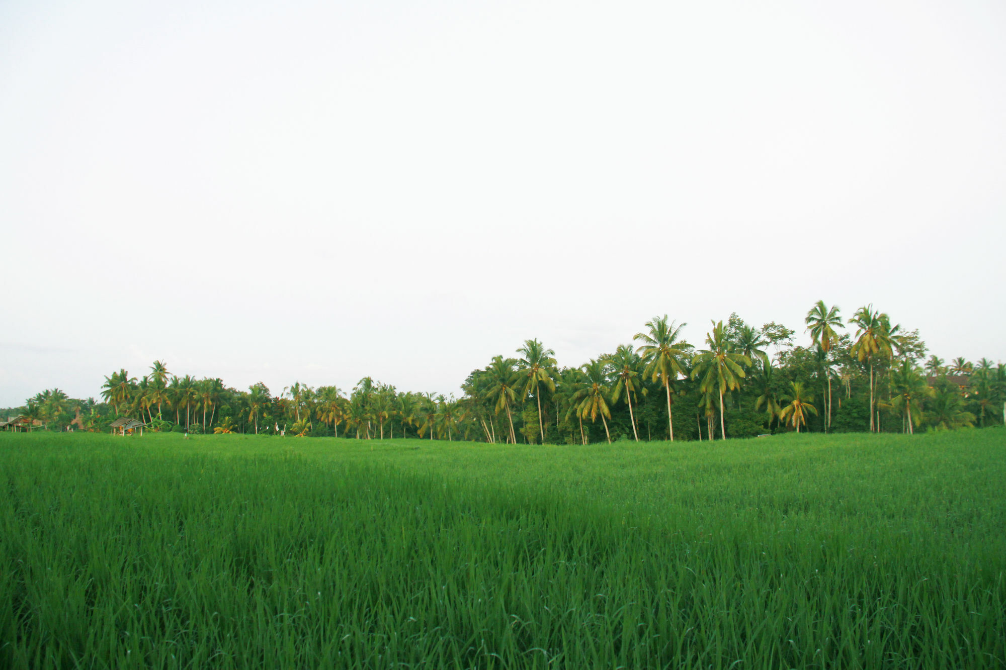 Greenfield Luxury Villa Ubud (Bali)