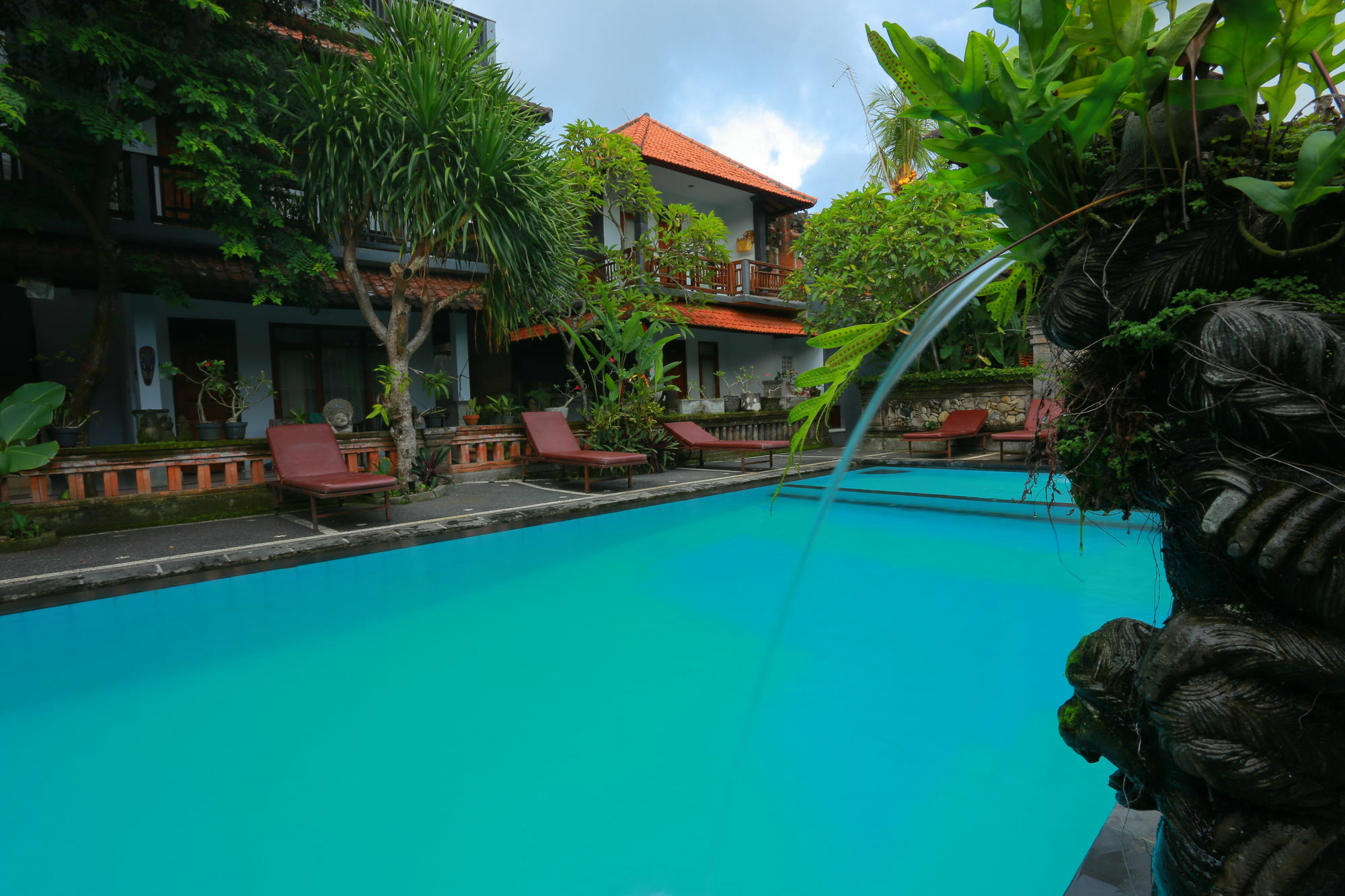 Warsa's Garden And