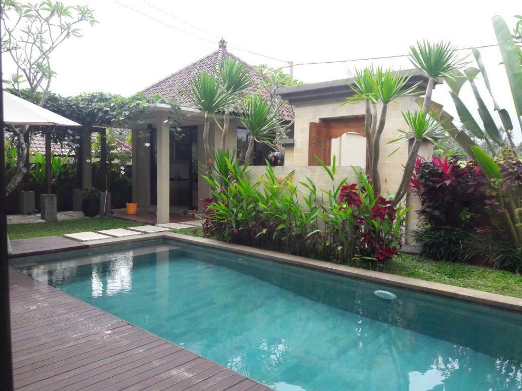 Villa Amanda