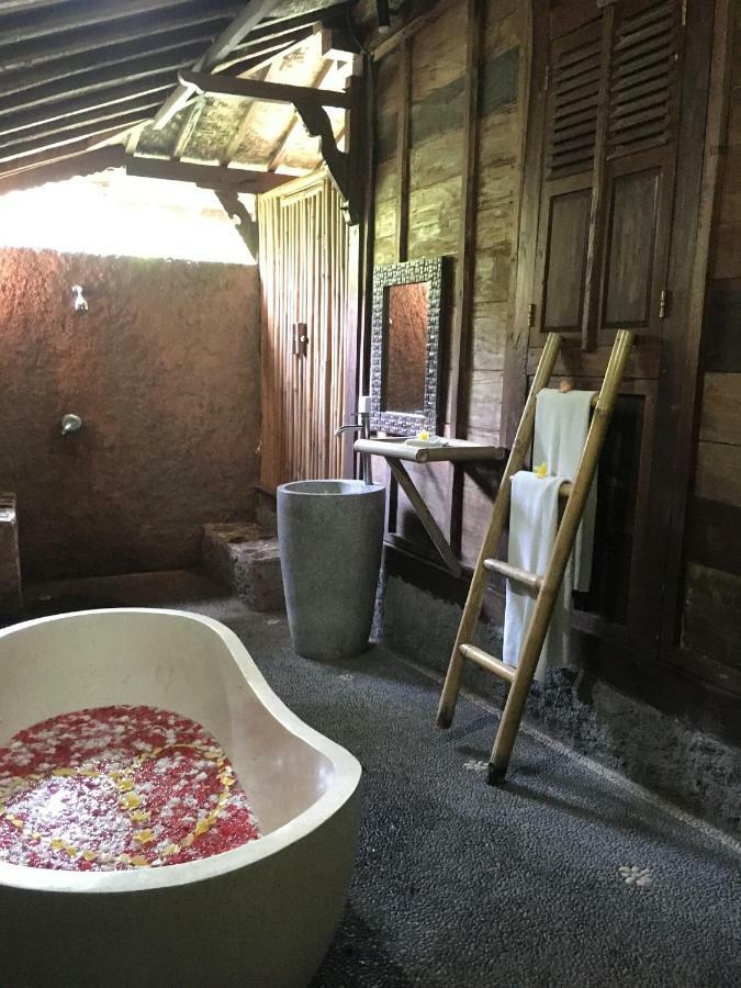 Guest house Jungle Holy Water